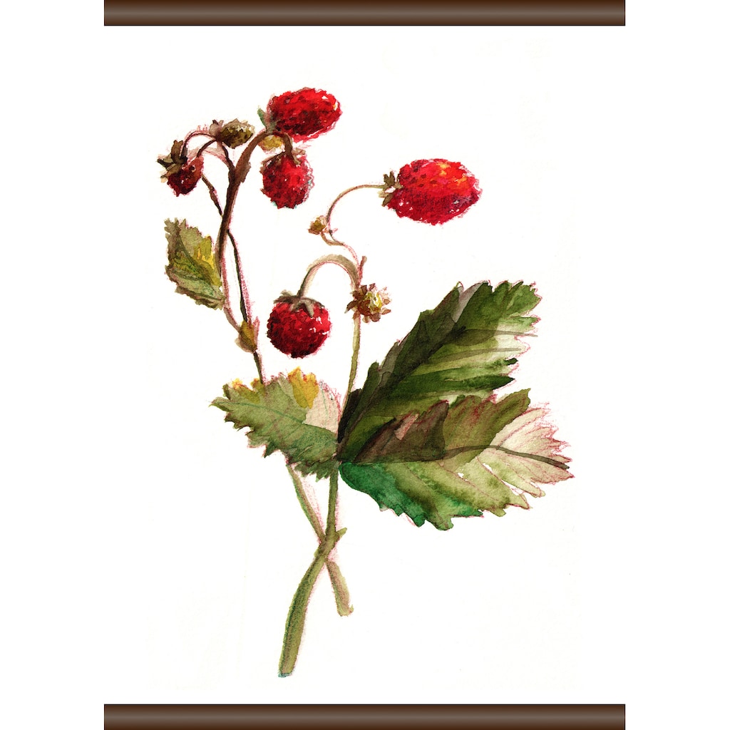queence Leinwandbild »Erdbeer Pflanze«