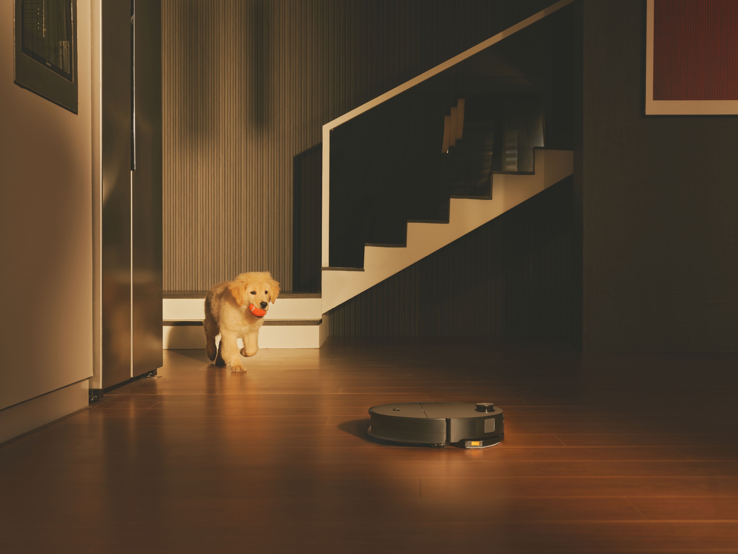 Roborock Saugroboter »Saros 20 Sonic Complete, Black«