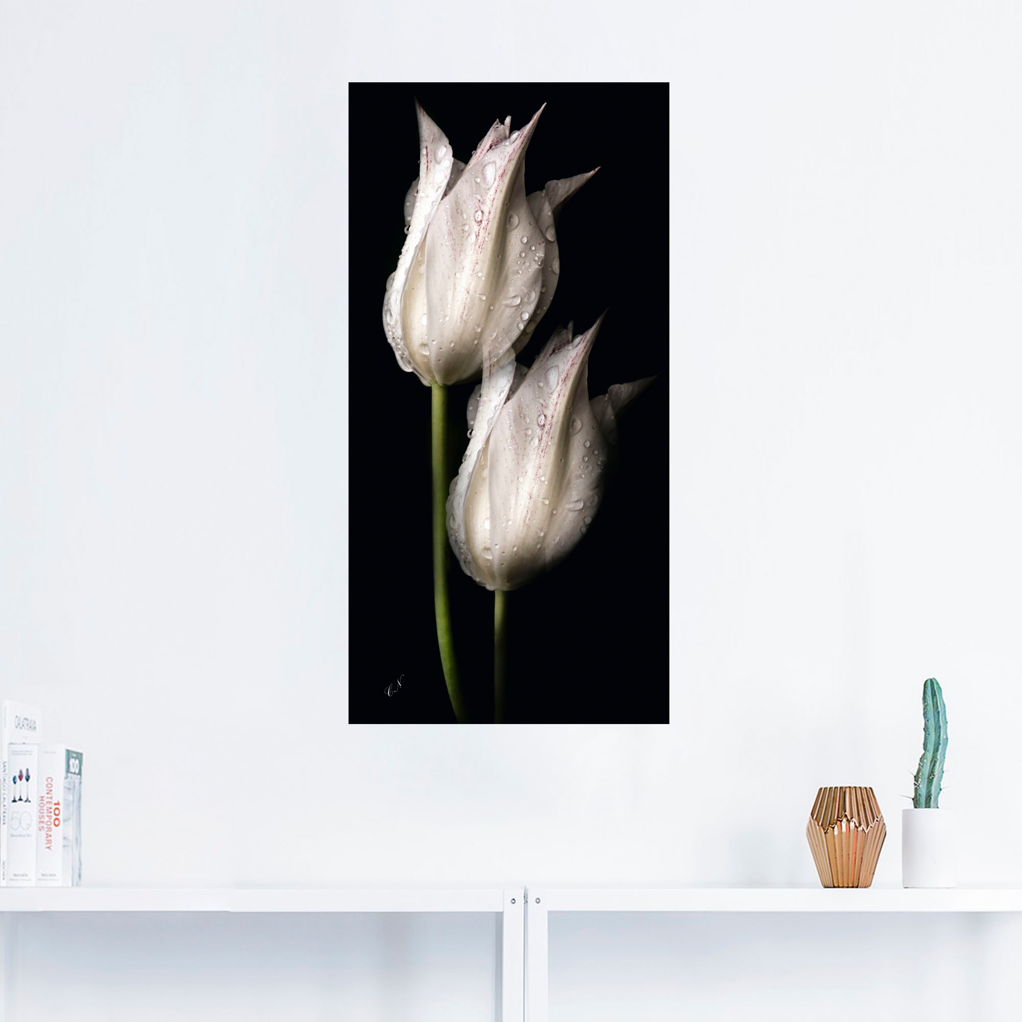 Artland Wandbild »Weiße Tulpen in der Nacht«, Blumenbilder, (1 St.), als Alubild, Outdoorbild, Leinwandbild, Poster, Wandaufkleber