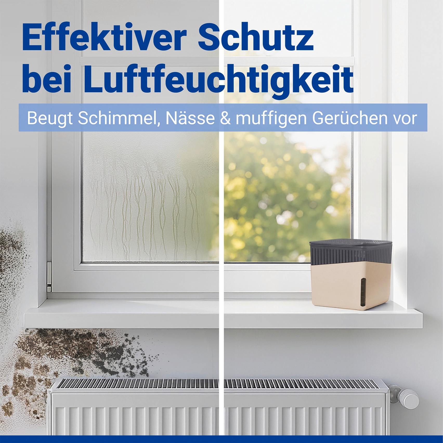 WENKO Luftentfeuchter »Cube« für 40 m³ Räume 2 x 500 g