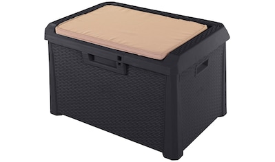 ONDIS24 Auflagenbox »Santo Kompakt«, 120 Liter, Kunststoff kaufen