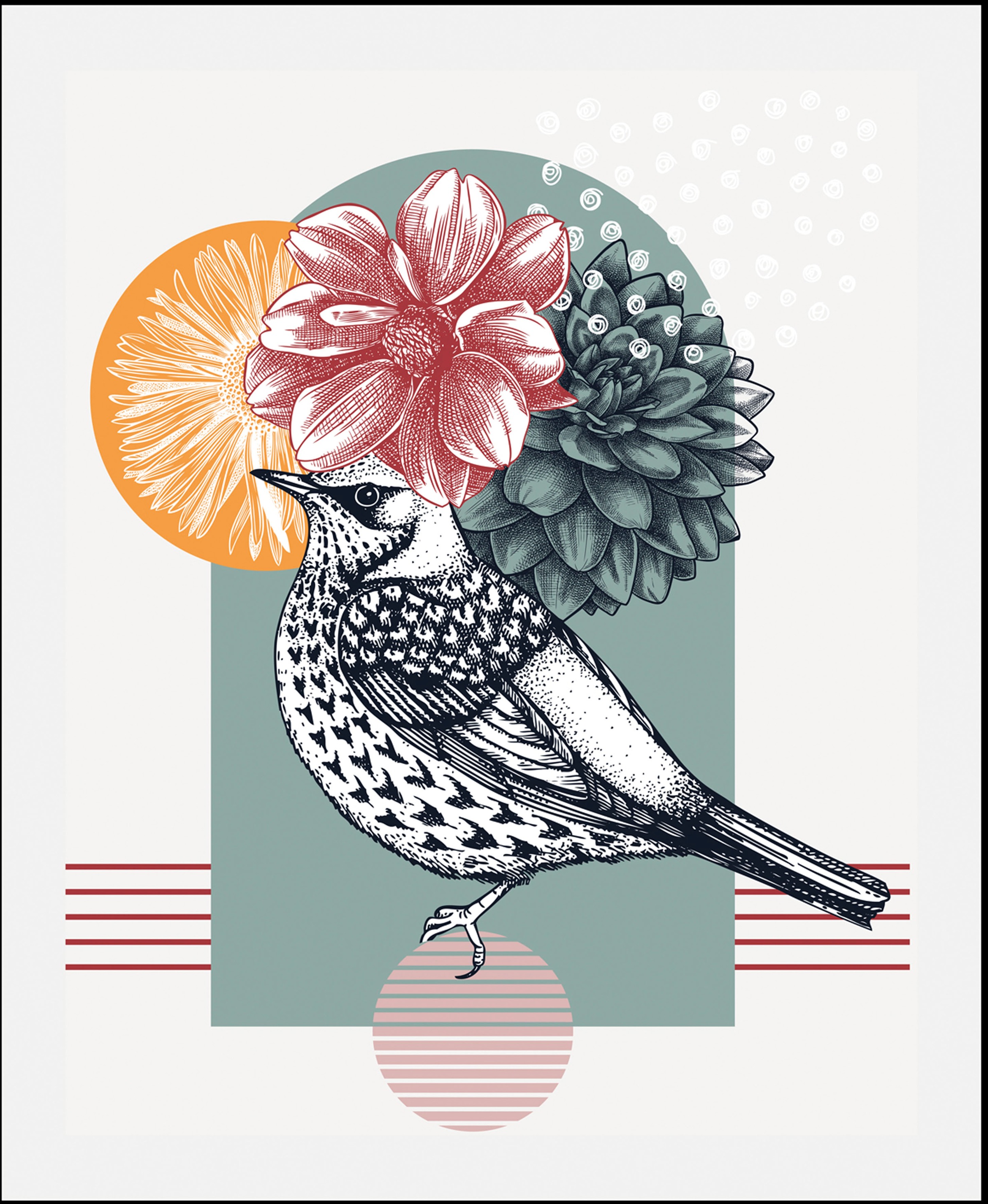 queence Bild »Bunter Vogel«, Vögel-Vogelbilder-Blumen-Blumenbilder-Abstrakt günstig online kaufen