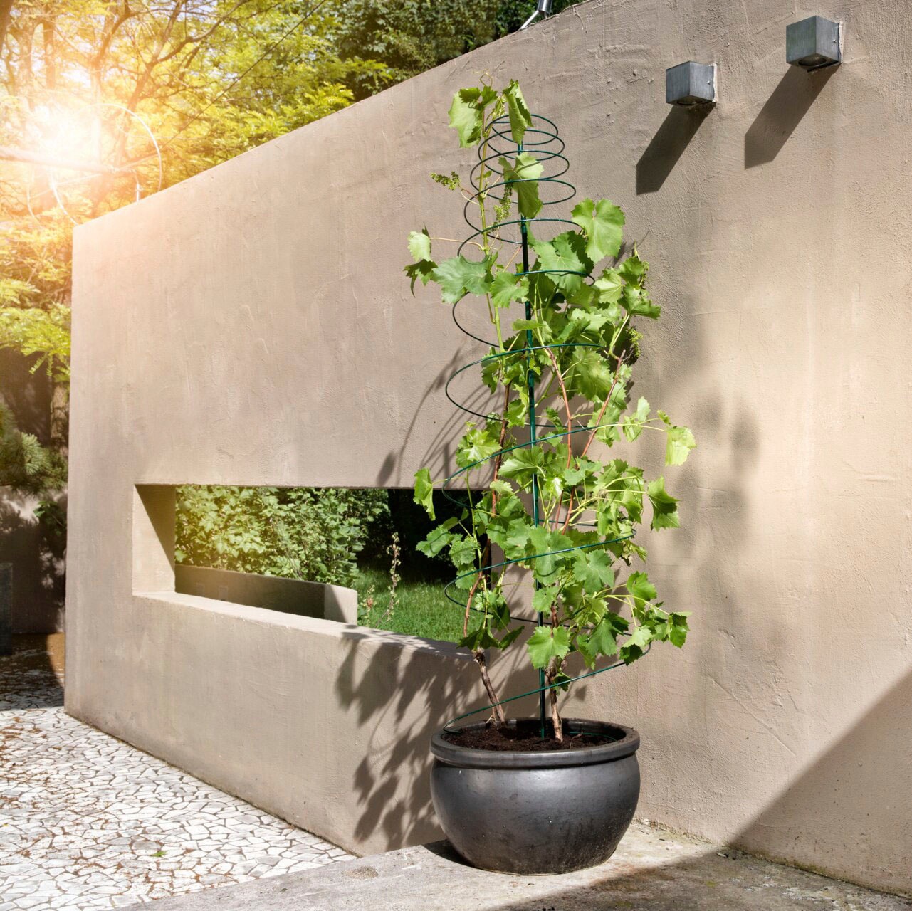 Windhager Ranksäule, Rankspirale aus Metall