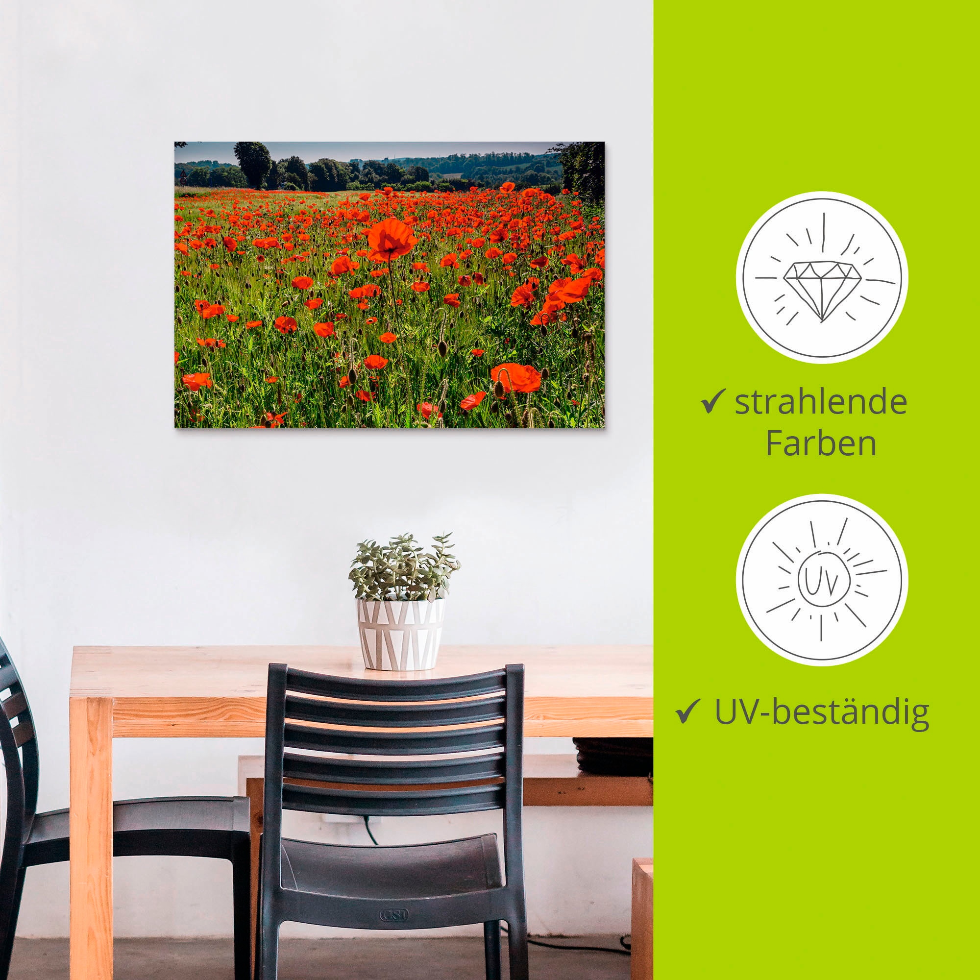 Artland Alu-Dibond-Druck »Mohnblumenwiese II«, Blumenwiese, (1 St.), für Innen- und Außenbereich geeignet, Outdoorbild