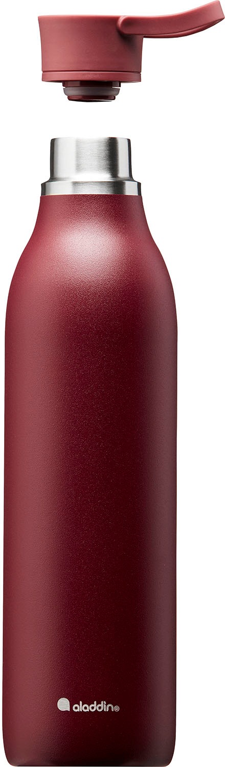 aladdin Trinkflasche »City Loop«, Edelstahl, 600 ml