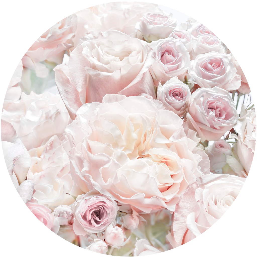 Komar Fototapete »Pink and Cream Roses«