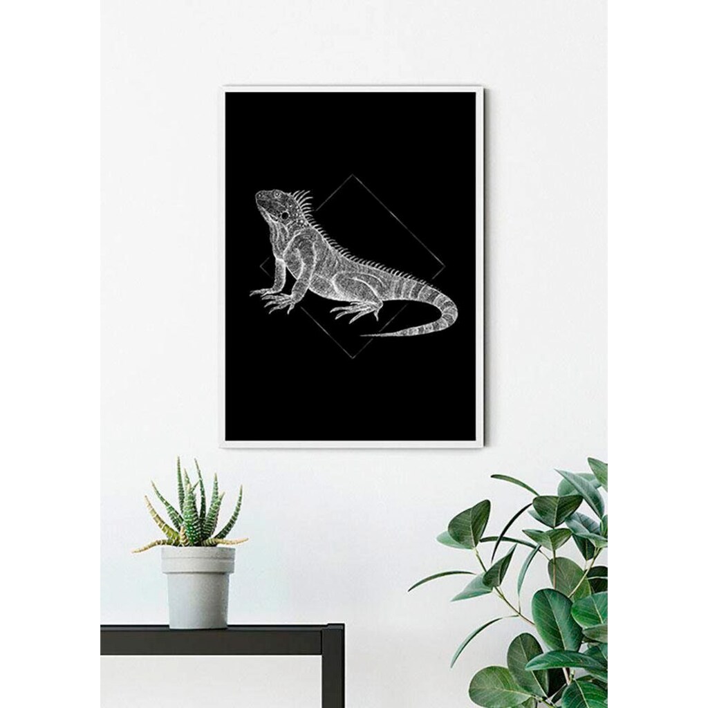 Komar Poster »Iguana Black«, Tiere, (1 St.)