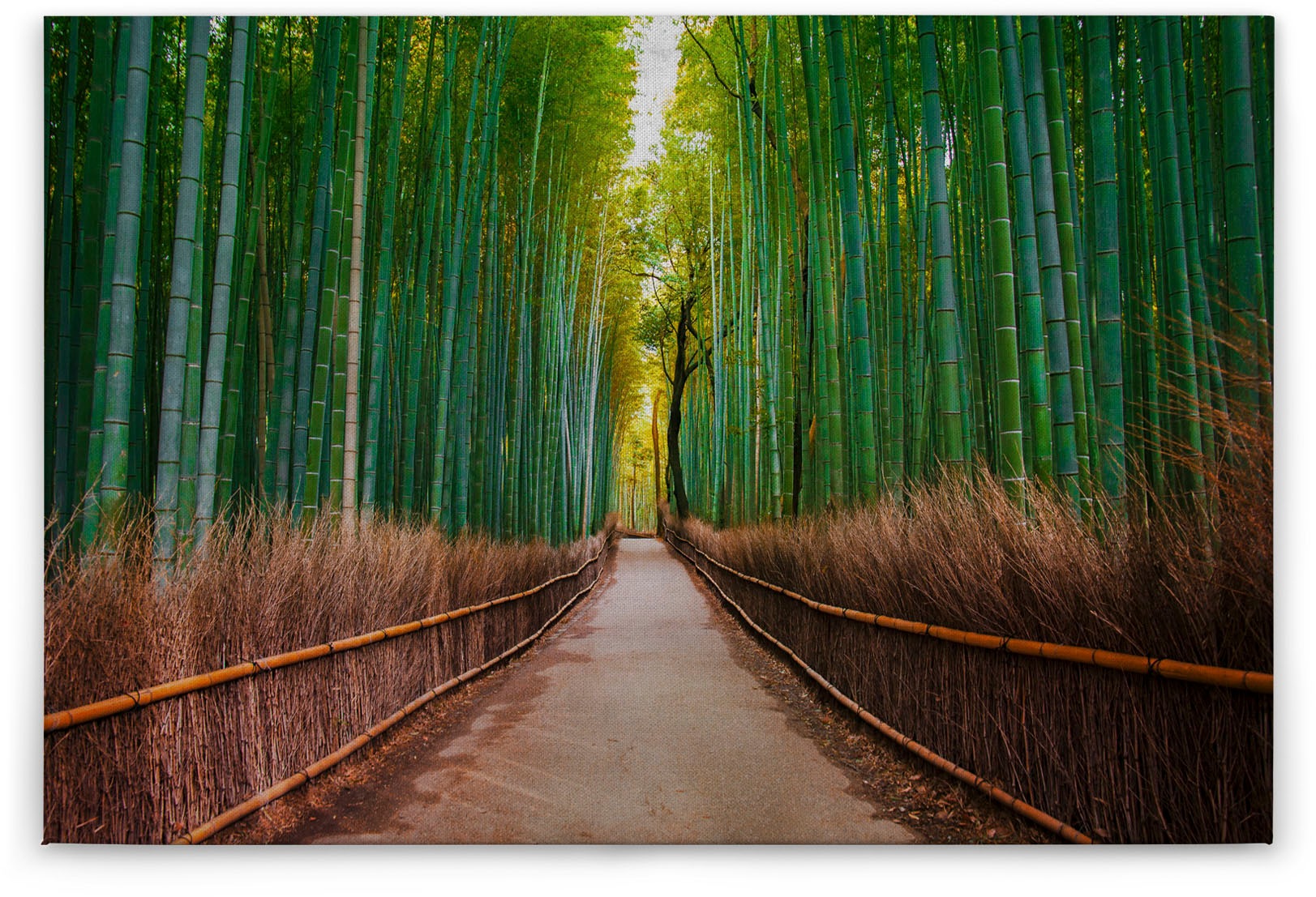 Bricoflor Bambus Leinwand Mit Wald Motiv Canvas Leinwandbild Im Querformat günstig online kaufen
