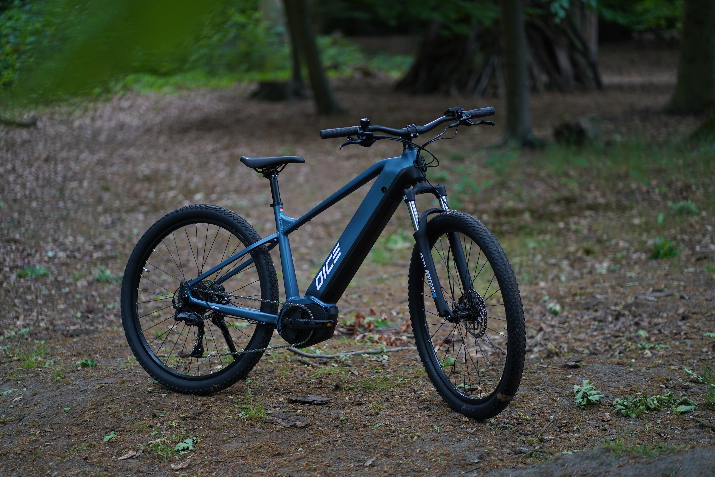 Prophete E-Bike »Dice 3.8«, 10 Gang, Shimano, Cues, Mittelmotor 250 W