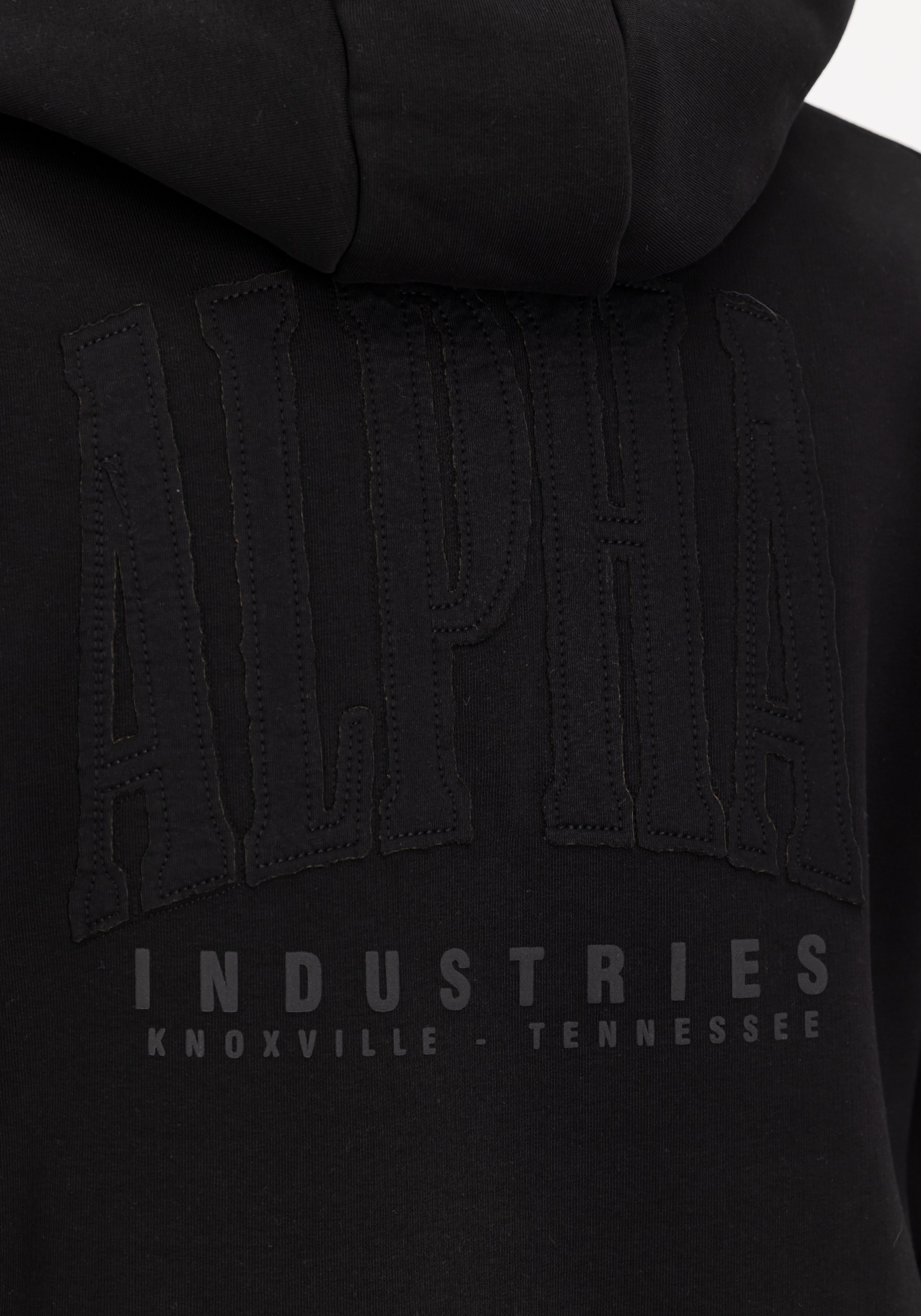 Alpha Industries Hoodie »Coach Hoodie Backprint «