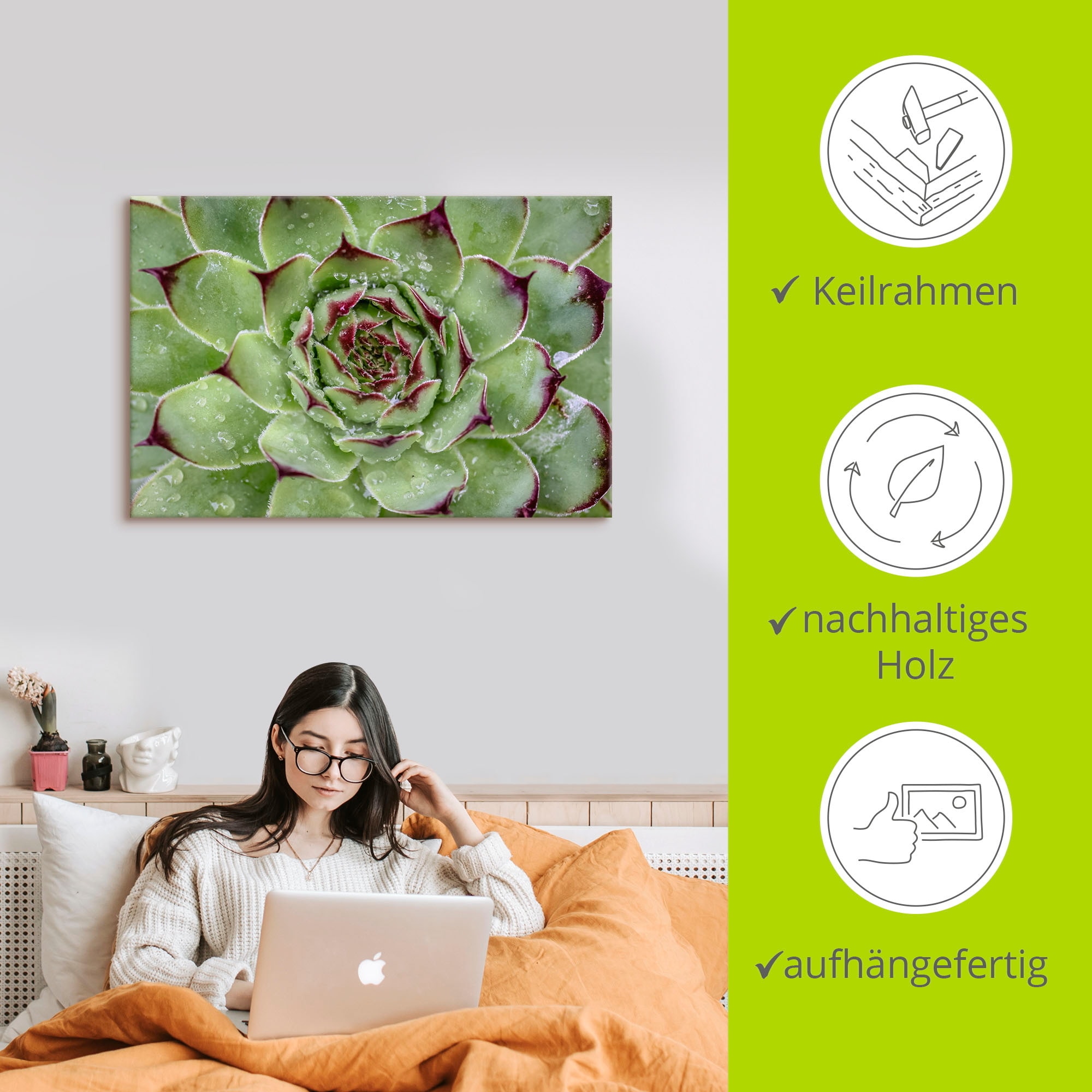 Artland Wandbild »Sukkulente mit Regentropfen«, Pflanzenbilder, (1 St.), als Alubild, Outdoorbild, Leinwandbild in verschied. Größen