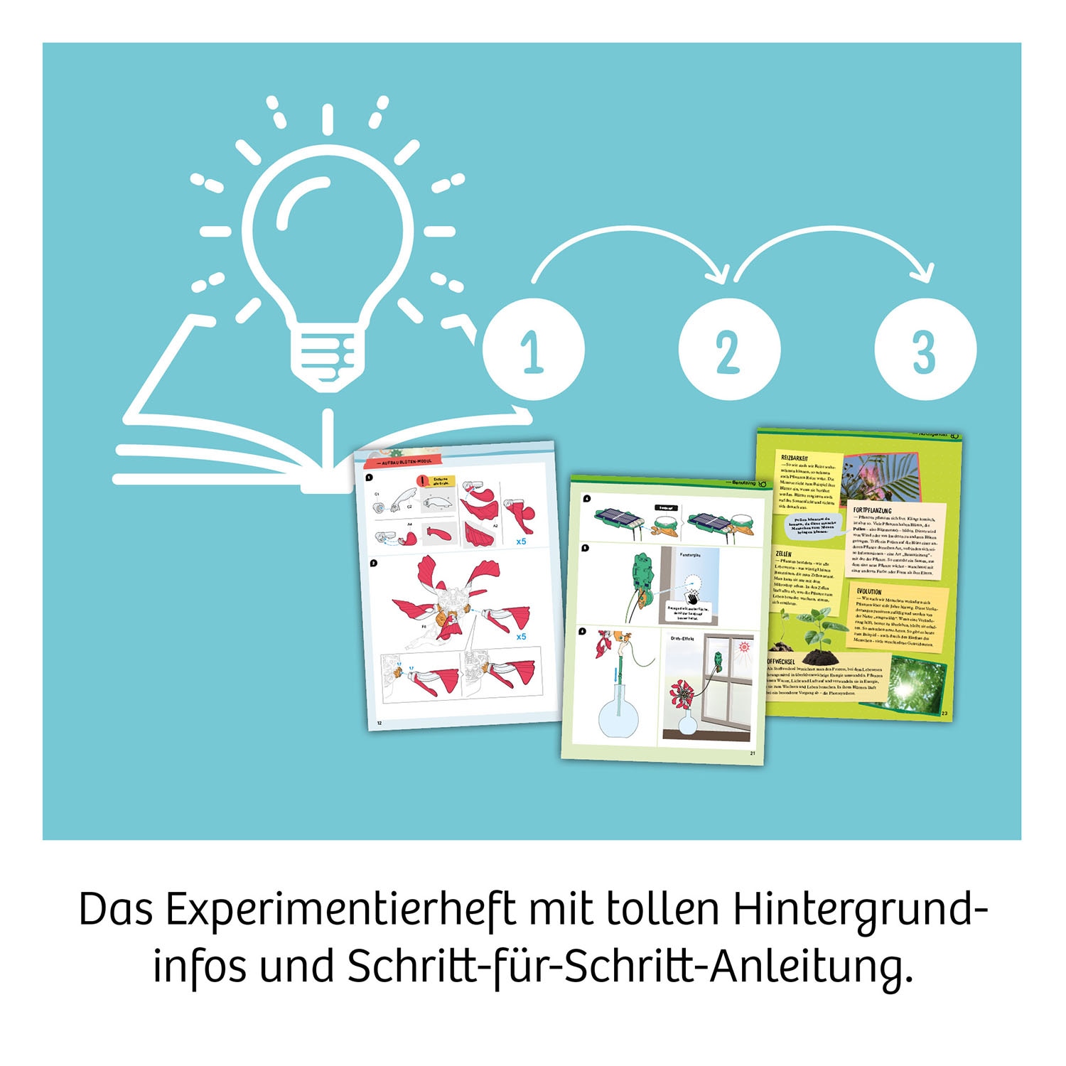 Kosmos Experimentierkasten »Solar-Flower«