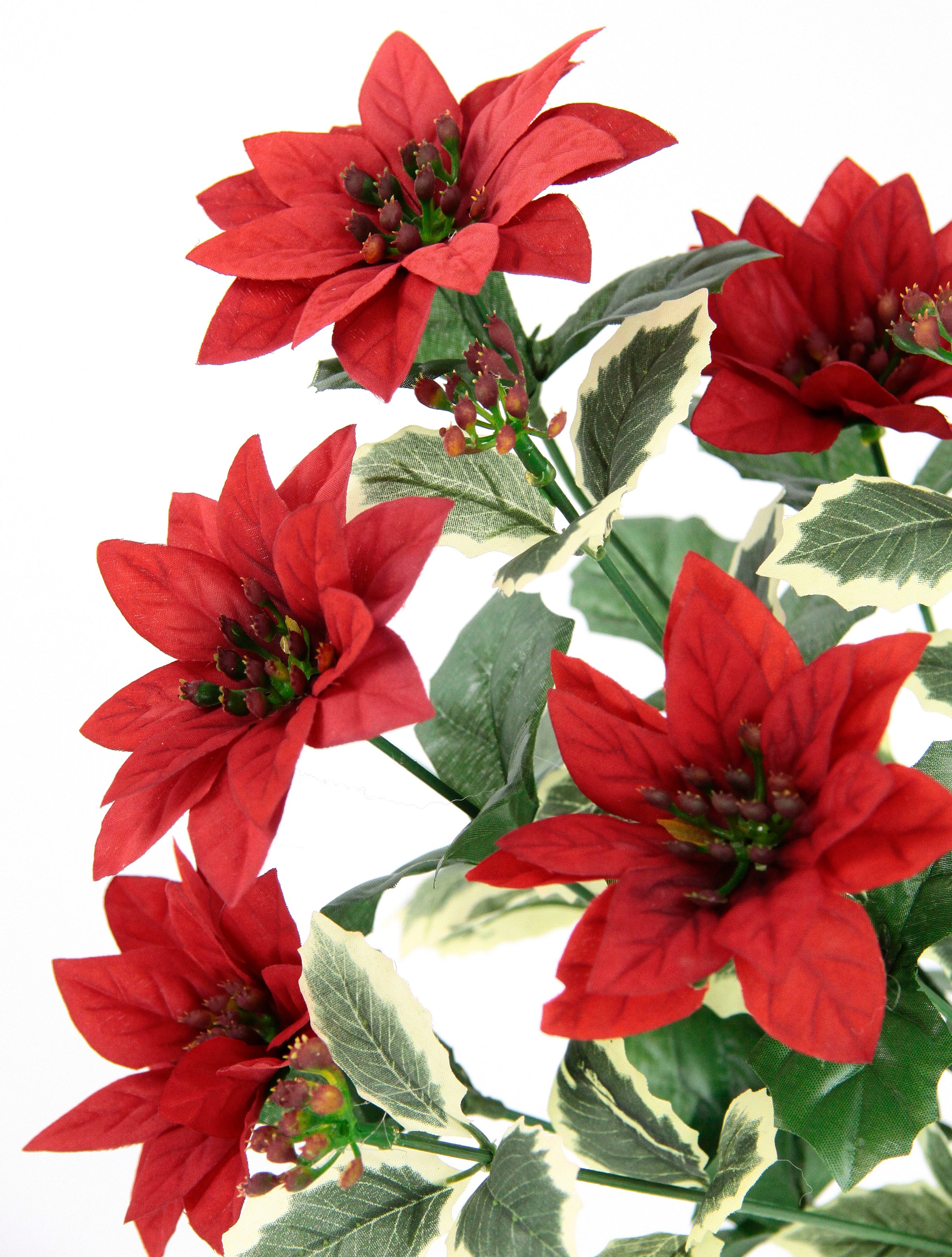 bestellen Kunstblumenstrauß im Kunstpflanze online Weihnachtsstern, Winterliche Poinsettiabusch, Poinsettia »Kunstblume, I.GE.A. mit 2er Set Weihnachtsdeko,«,