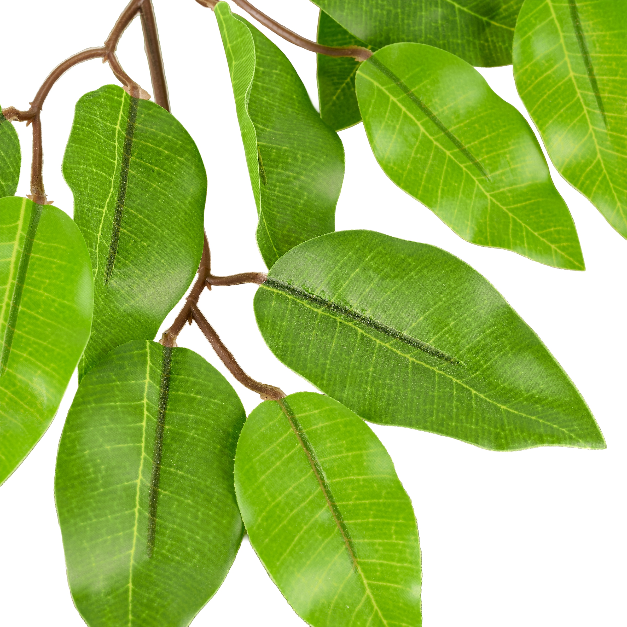 Creativ green Kunstbaum »Ficus benjamina« mit schönem Blattwerk
