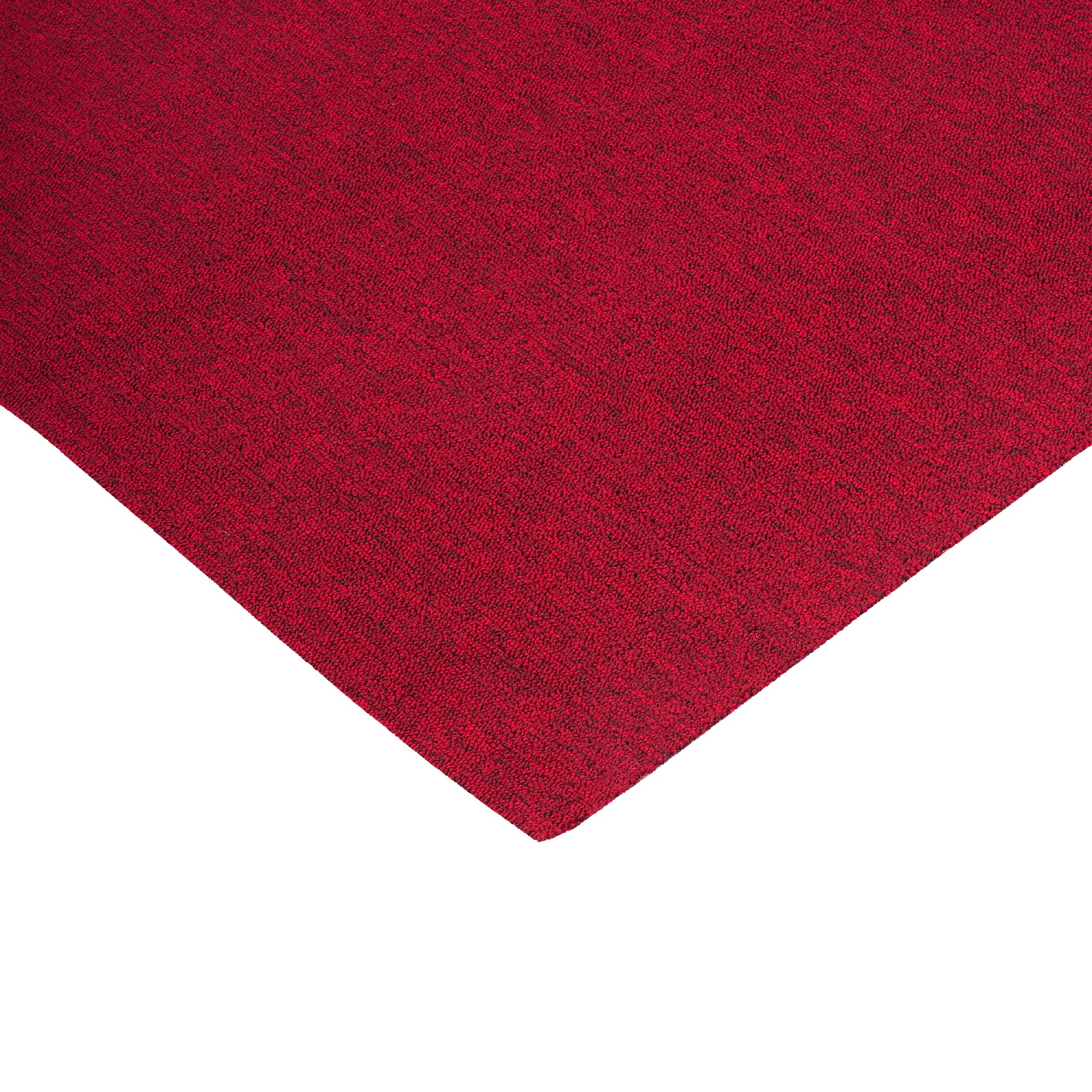 my home Teppichboden Fortis, Schlinge, Made günstig online kaufen