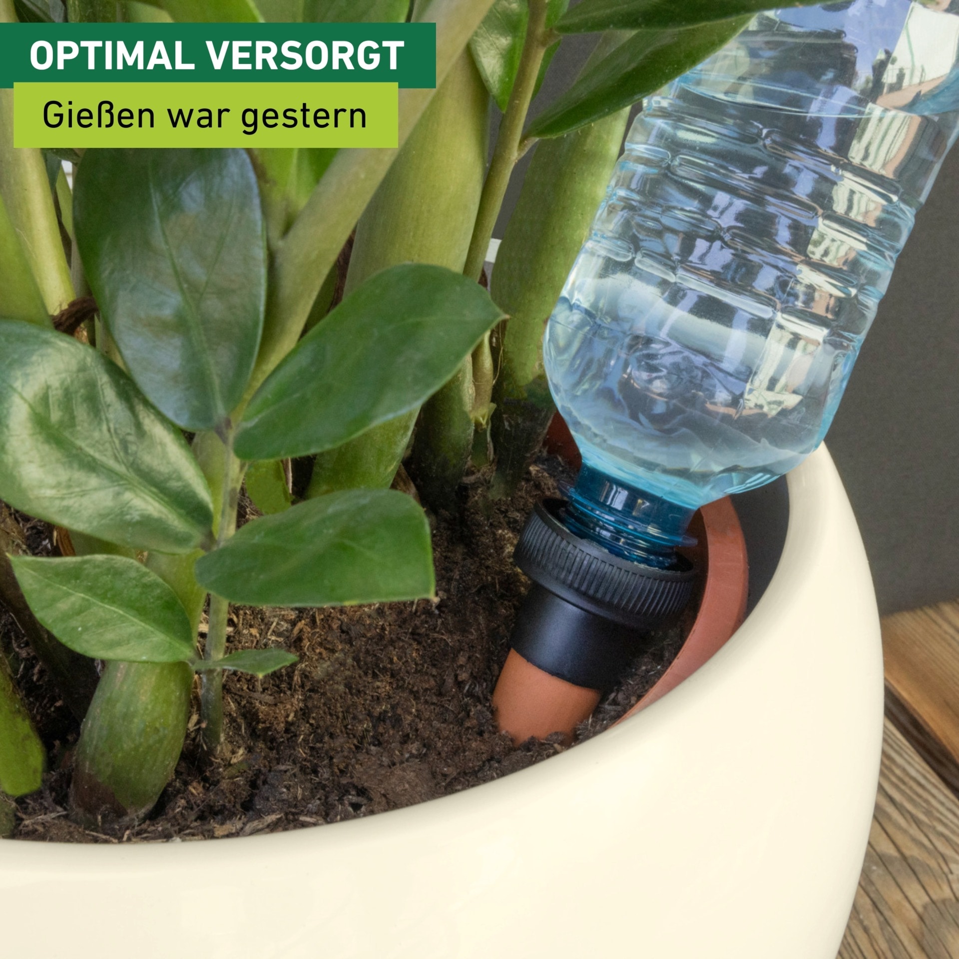 Windhager Bewässerungssystem »automatische Wasserspender Flaschen 3 Stk. für Zimmerpflanzen« (Packung, 3 Stk. tlg.)  Flaschenadapter Bewässerung, Abgabemenge ca. 200 ml/Tag, 4 x 11 cm