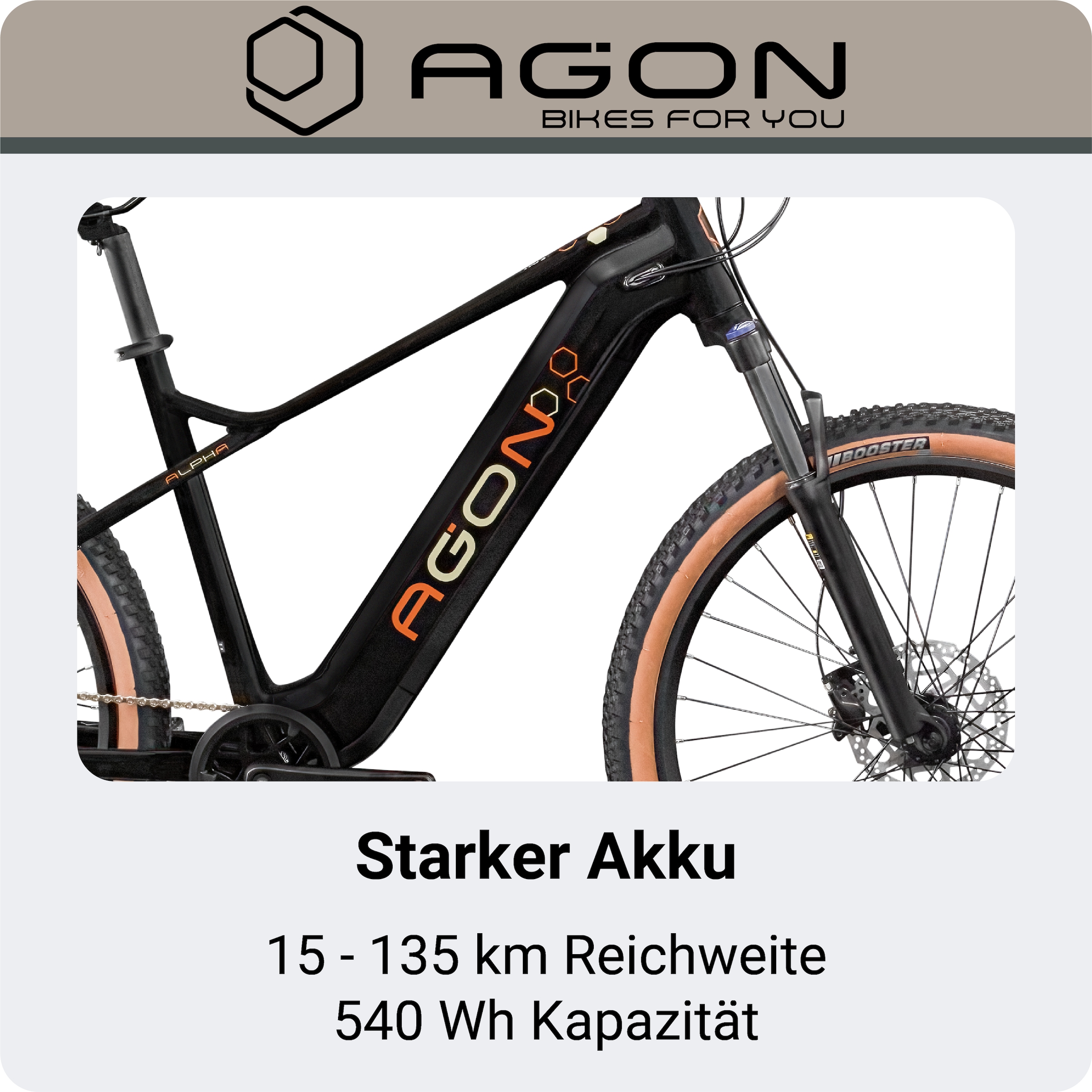 AGON »Alpha« 10 Gang Shimano Deore SGS T6000 Schaltwerk Kettenschaltung Heckmotor 250 W E Bike Mountainbike Herren oder Damen 160 - 185 cm