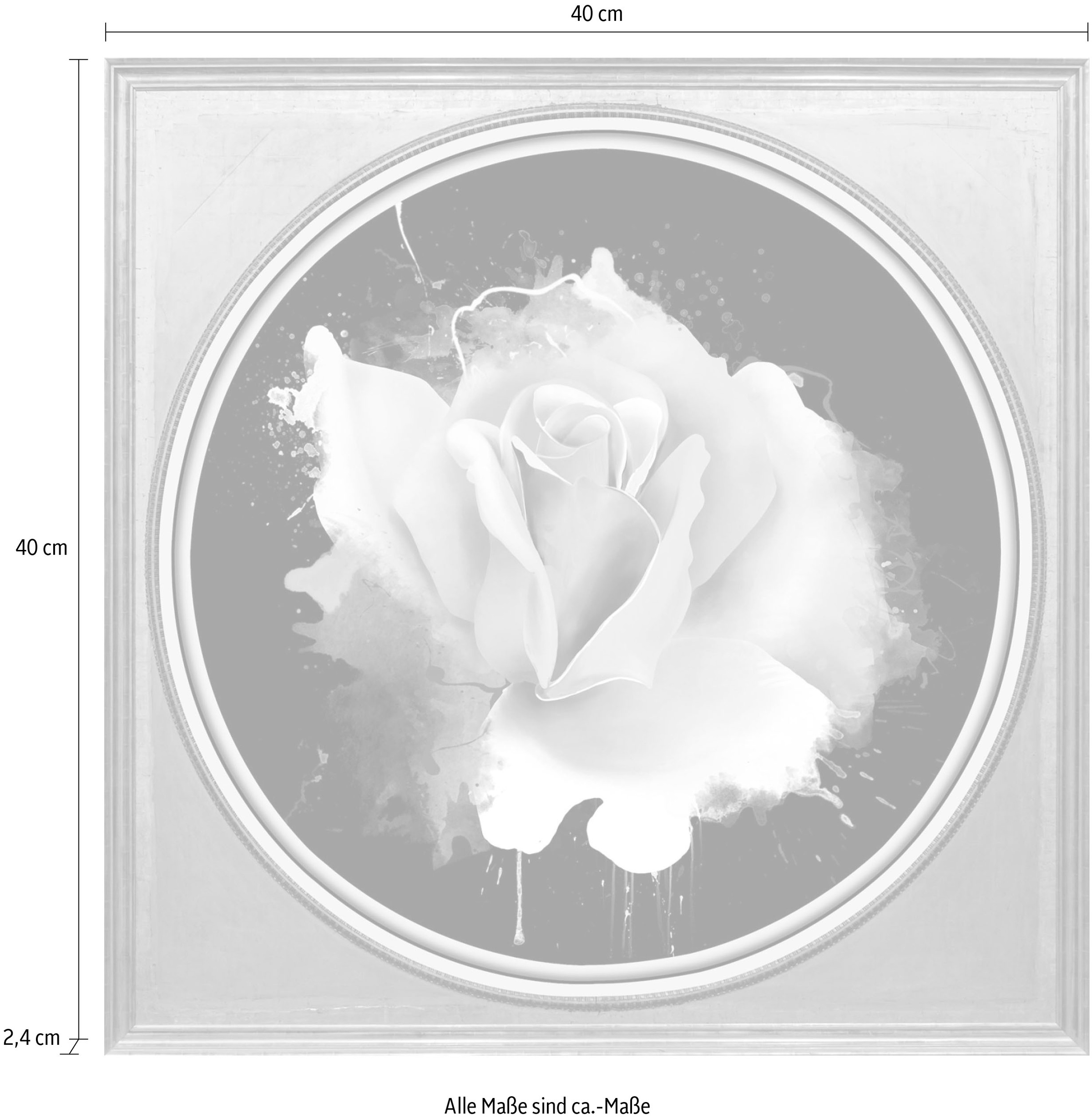 queence Acrylglasbild »Rose«, Blumen-Blumenbilder-Kunst-Pflanzen-Pflanzenbilder-Gemälde, Fine Art-Print in Galeriequalität