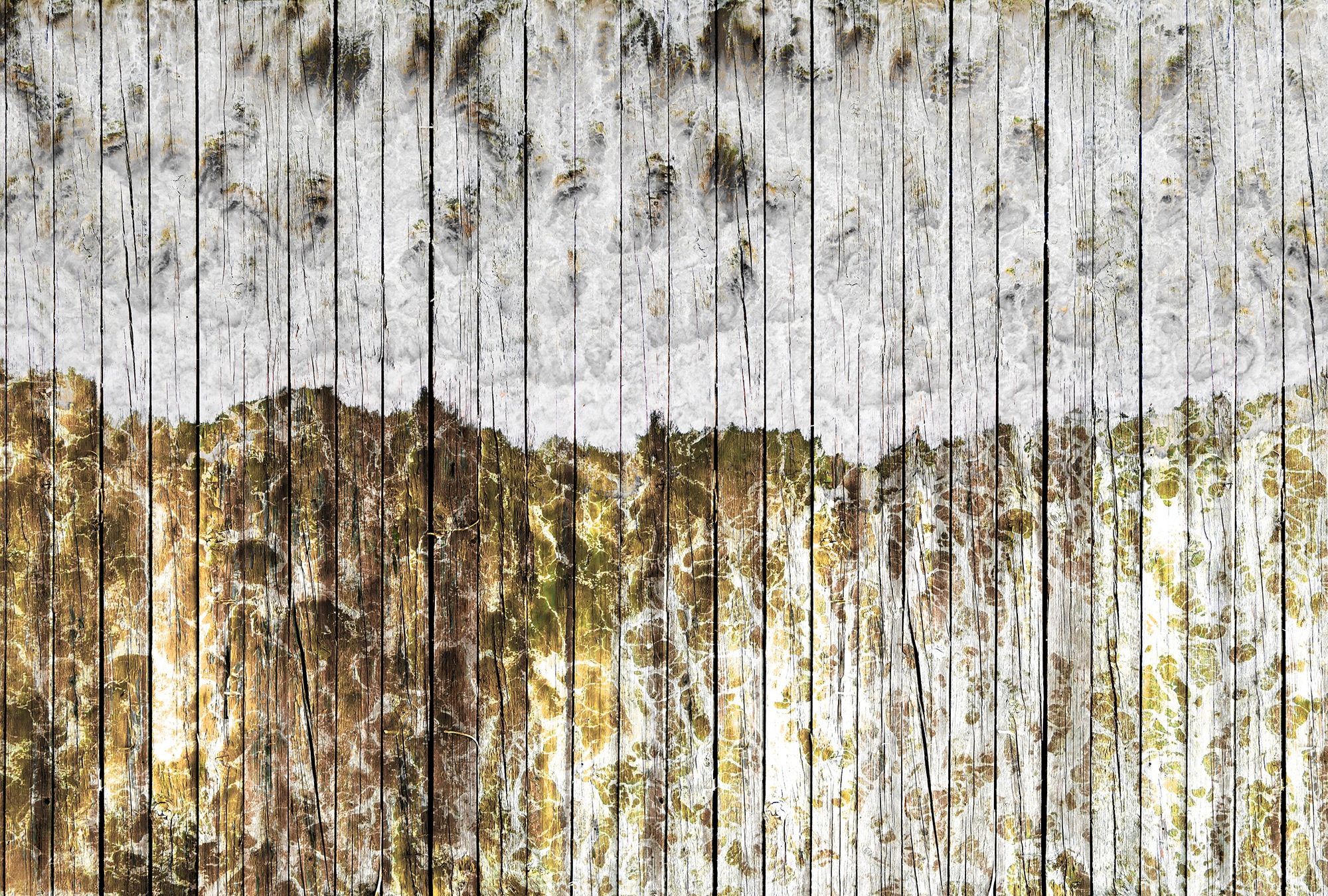 Architects Paper Fototapete »Atelier 47 Beachboard 1« Holz glatt Vlies, Wan günstig online kaufen