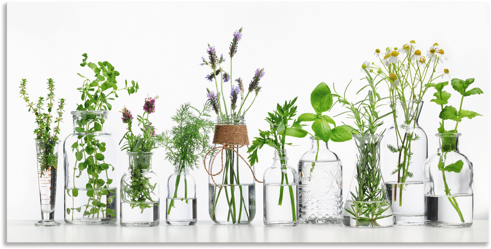 Artland Wandbild »Öle mit Kräutern« Kräuterbilder 1 Stk. tlg. als Alubild, günstig online kaufen