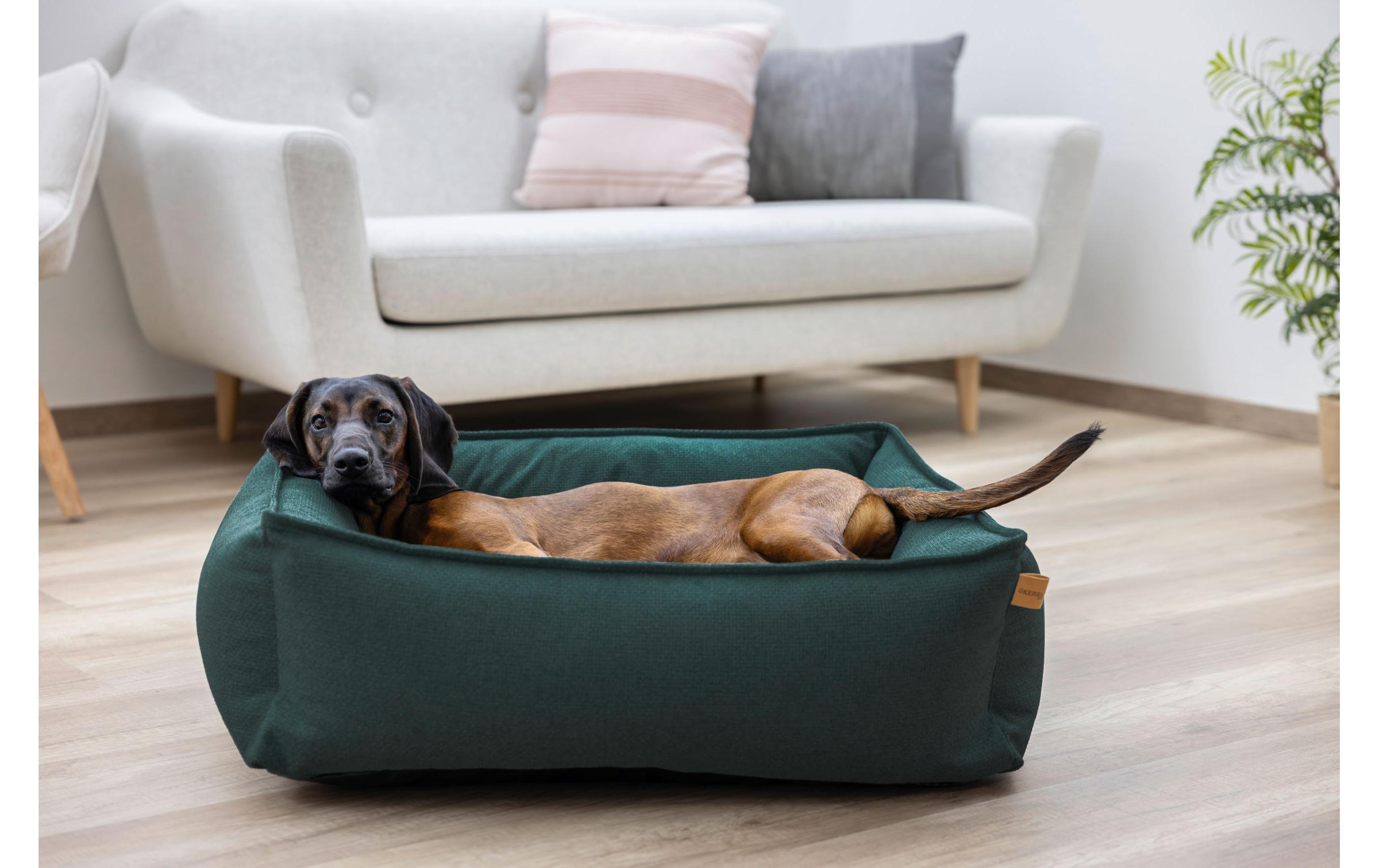 Kerbl Hundebett »Oliver 60 x 70 cm«
