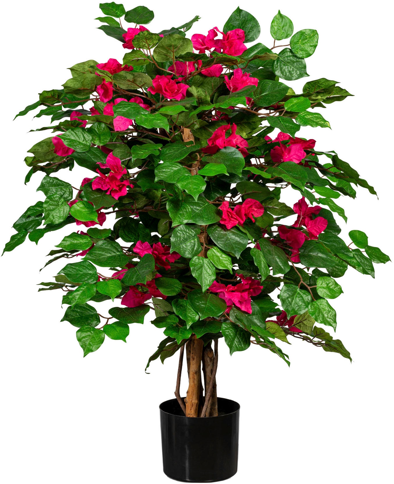 Creativ green Kunstpflanze »Bougainvillea« günstig online kaufen