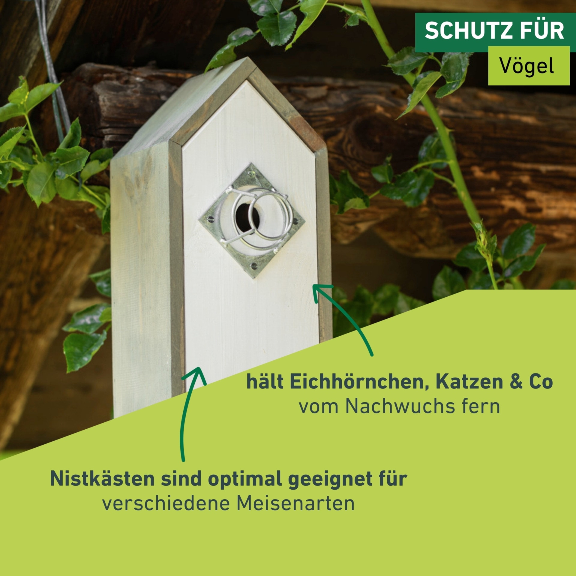 Windhager Vogelhaus »Nistkästen Nesträuberschutz, für alle Vogel-Nistkasten geeignet« aus verzinktem Metall, Einflugloch 35mm, 7x4 cm, Silber