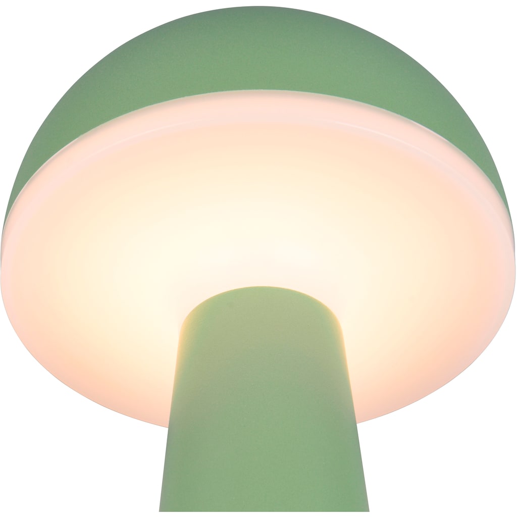 TRIO Leuchten LED Außen-Tischleuchte »FUNGO«, 1 flammig-flammig