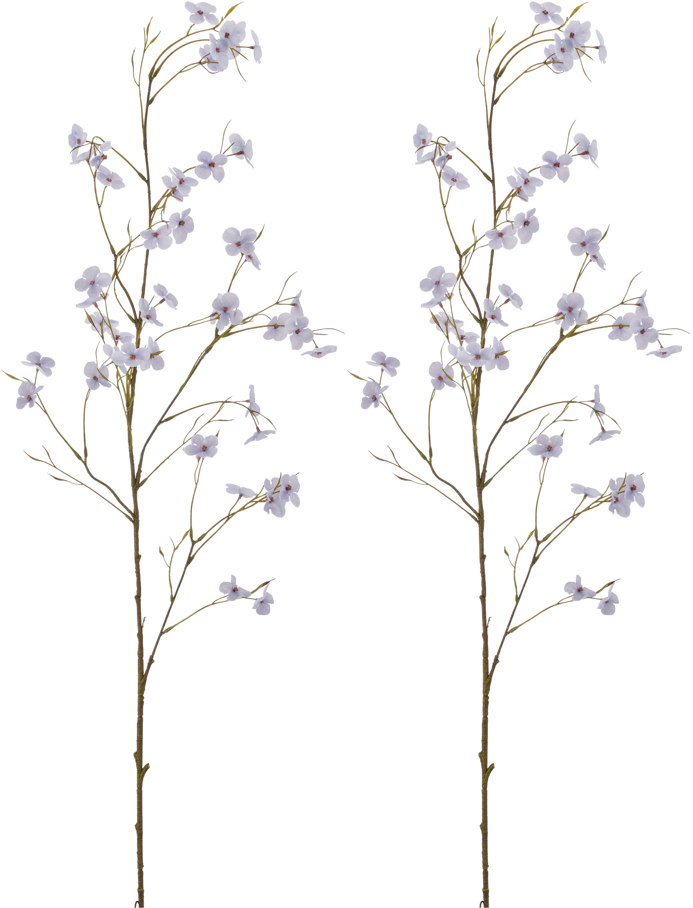 Creativ green Kunstzweig »Cornus« im minimalistischen Design