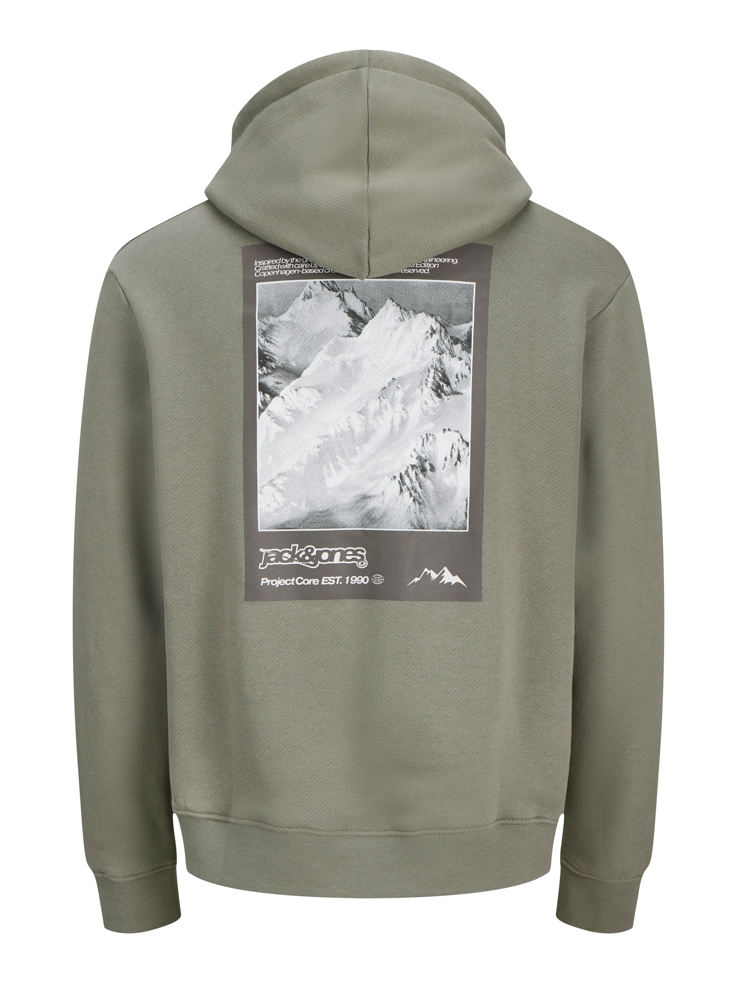 Jack & Jones Kapuzensweatshirt »JCOFLARE BACK PHOTO PRINT SWEAT HOOD«
