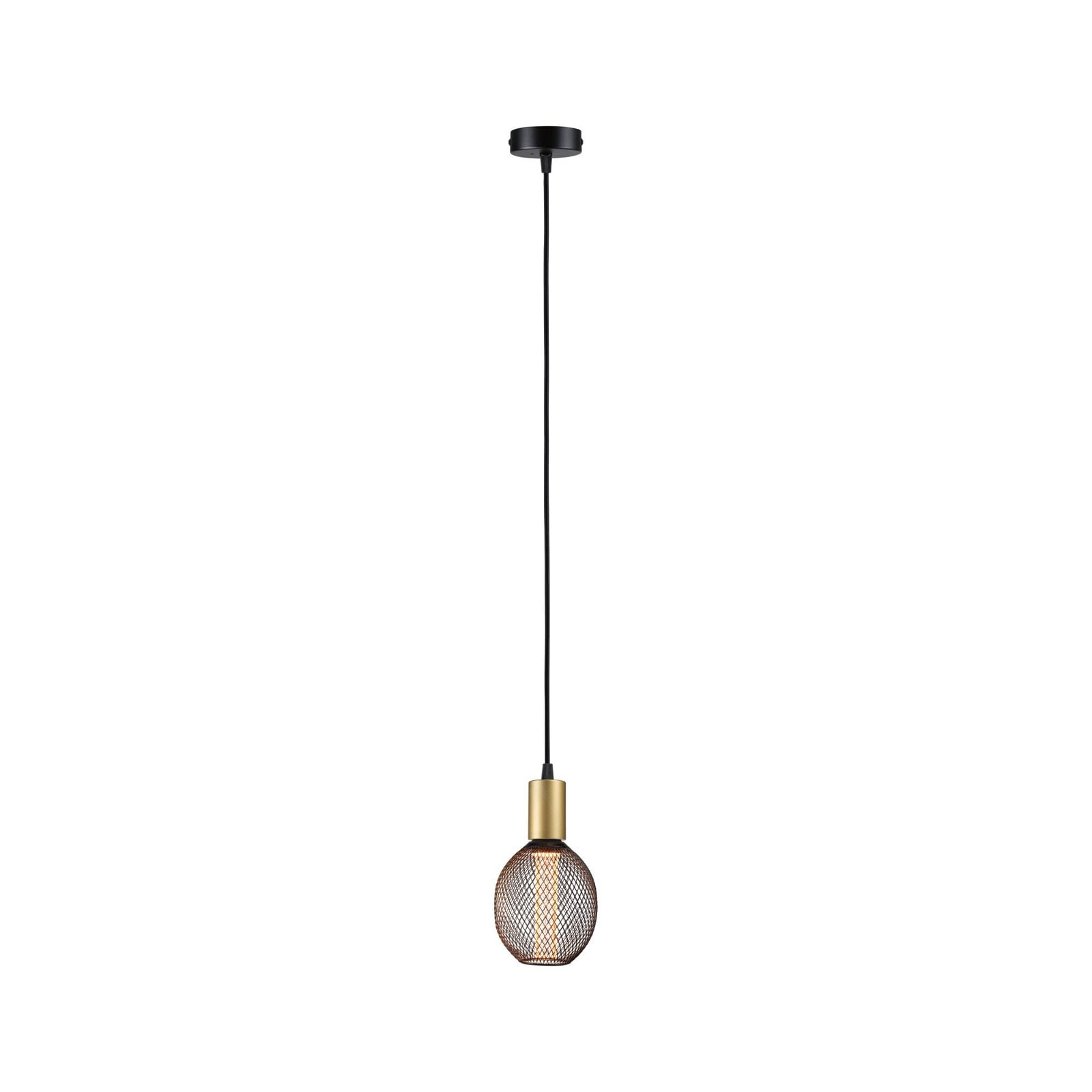 Paulmann Pendelleuchte »Ravi IP44 max 1x60W 230V Metall«, Leuchtmittel E27 günstig online kaufen