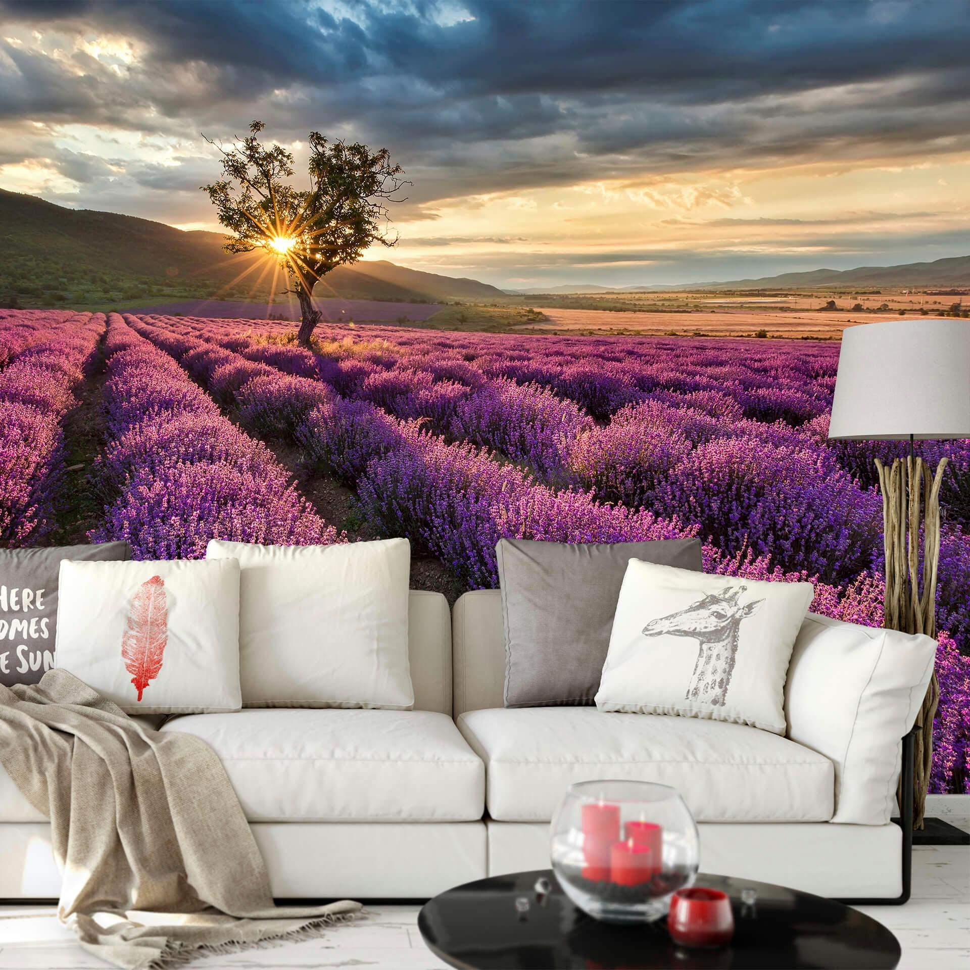 Wall-Art Vliestapete »Lavendelblüte in der Provence«, made in Berlin günstig online kaufen