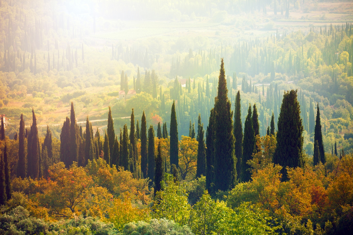 queence Wandsticker »Italian Love« Selbstklebend, kinderleichte Anbringung