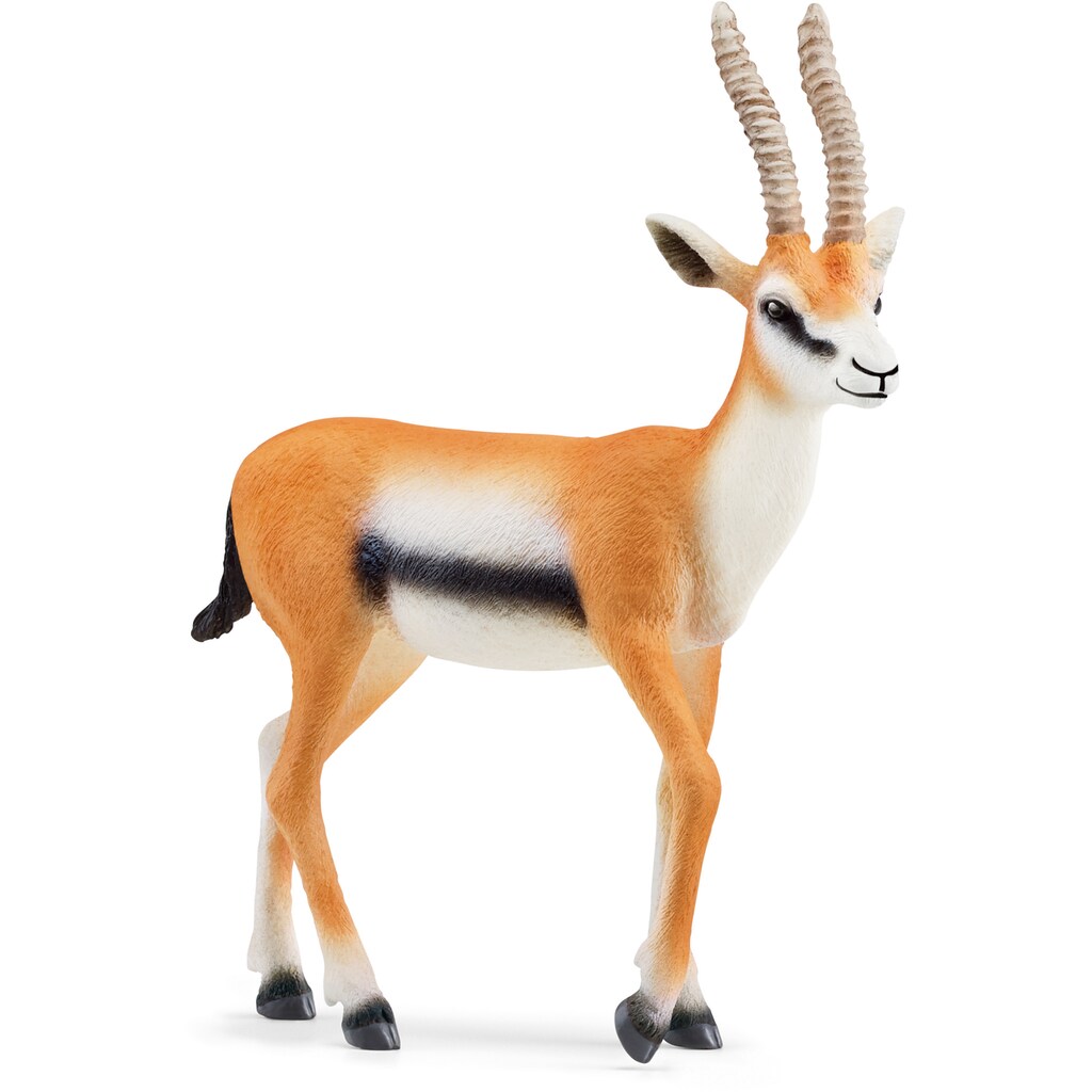 Schleich® Spielfigur »WILD LIFE, Thomson Gazelle (14861)«