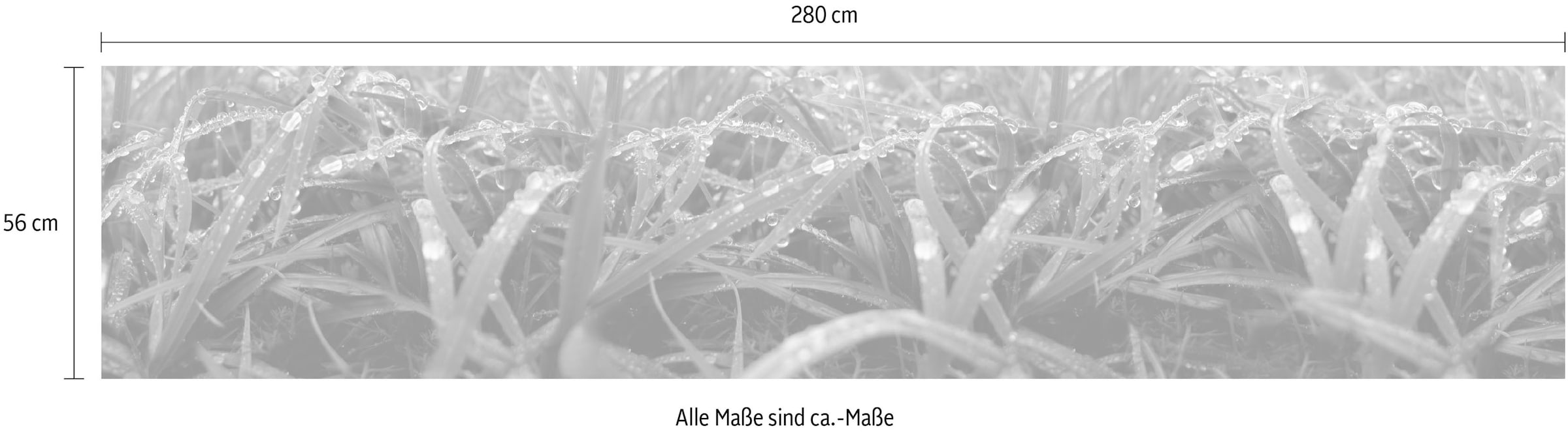 Express Küchen Küchenrückwand »"Weintrauben", als Spritzschutz geeignet, mit Schutzlack versehen,«, (1 tlg.), in verschiedenen Breiten