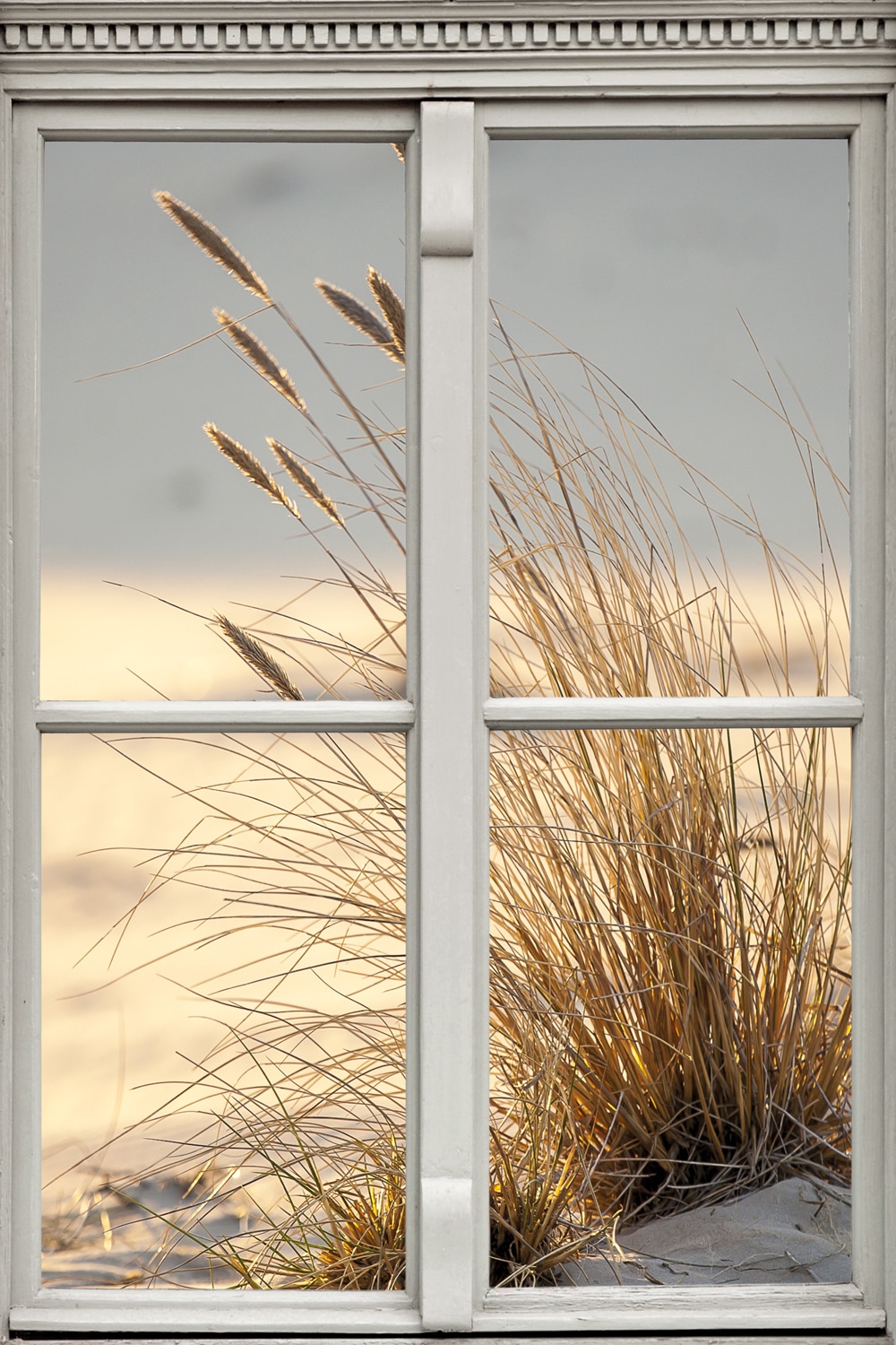 queence Leinwandbild »Düne«, Düne-Gräser-Natur-Fensterblick, (1 St.), Premi günstig online kaufen