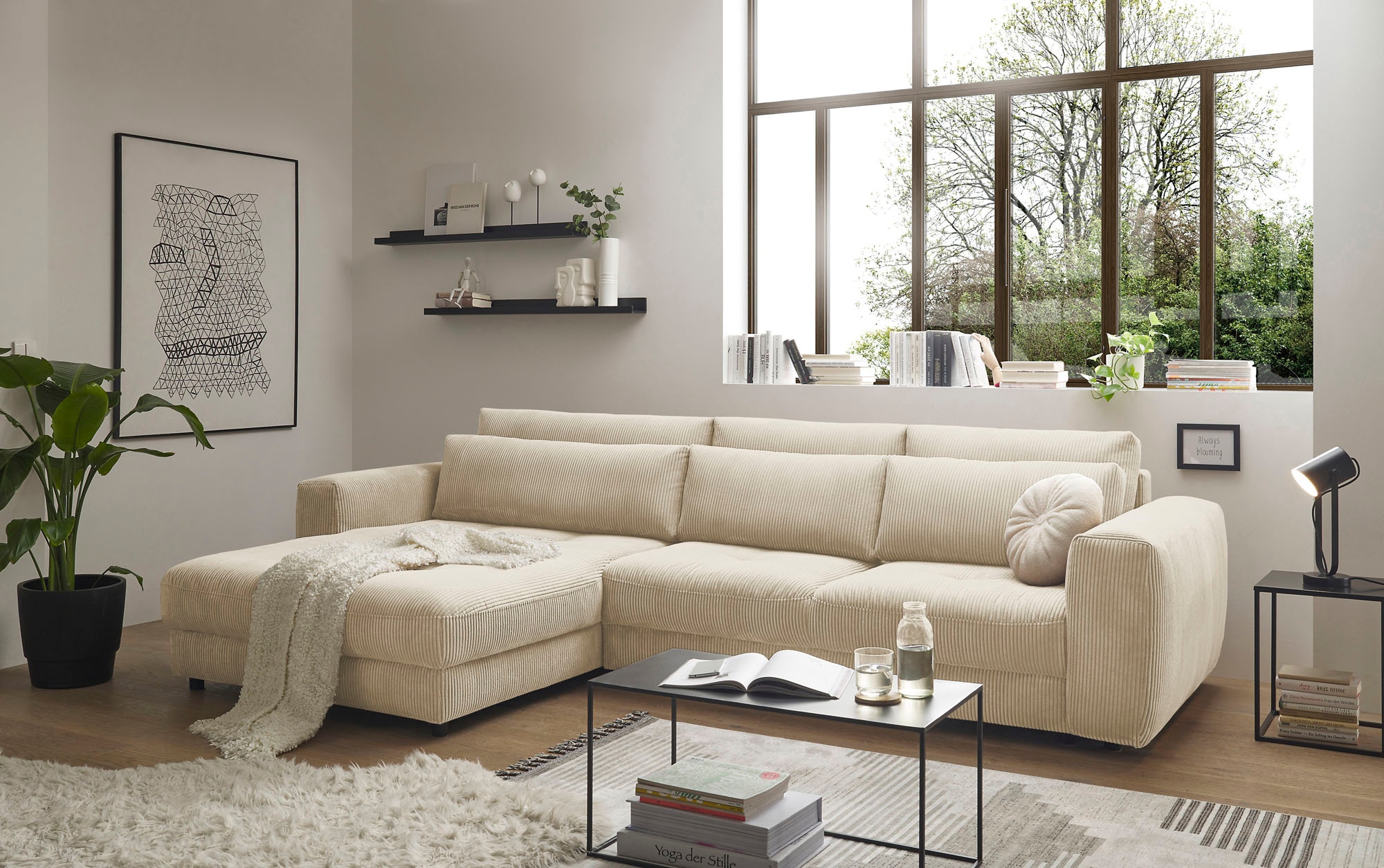 ED EXCITING DESIGN Ecksofa »Barura L-Form«, mit 3 Nierenkissen günstig online kaufen
