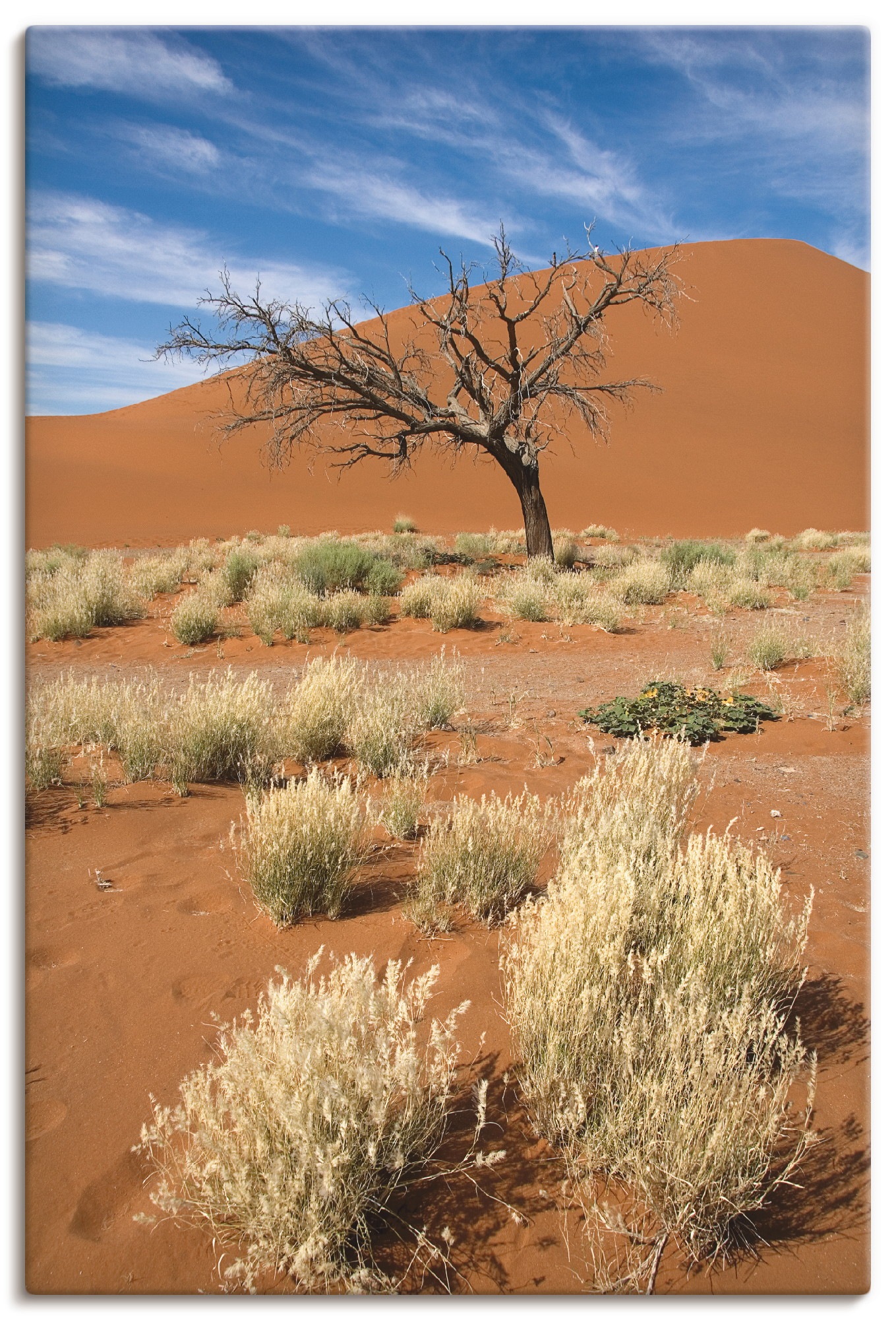 Artland Wandbild »Namib-Wüste 2«, Afrika, (1 St.), als Leinwandbild, Poster günstig online kaufen