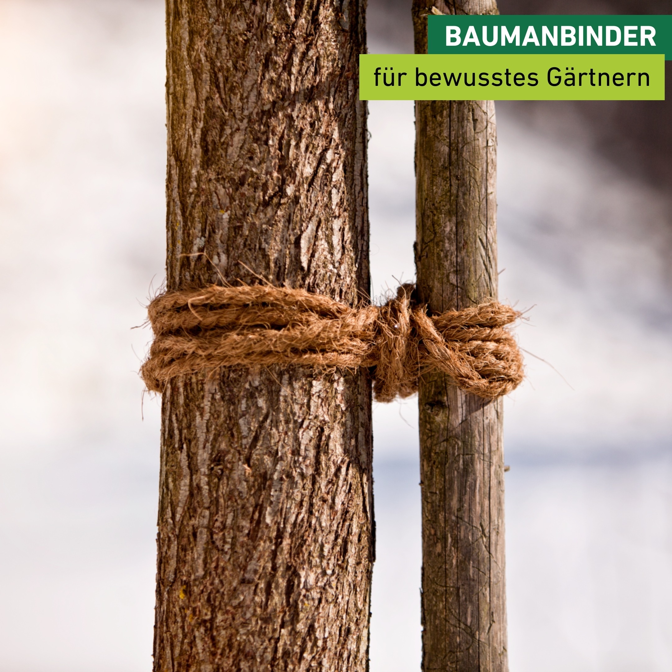Windhager Pflanzschnur »Kokos-Baumanbinder, Garn aus 100% Kokosfaser« 1 Stk. tlg. Kokoseil zur Stabilisierung von Bäumen und Pflanzen, Baum-Kordel 15 m