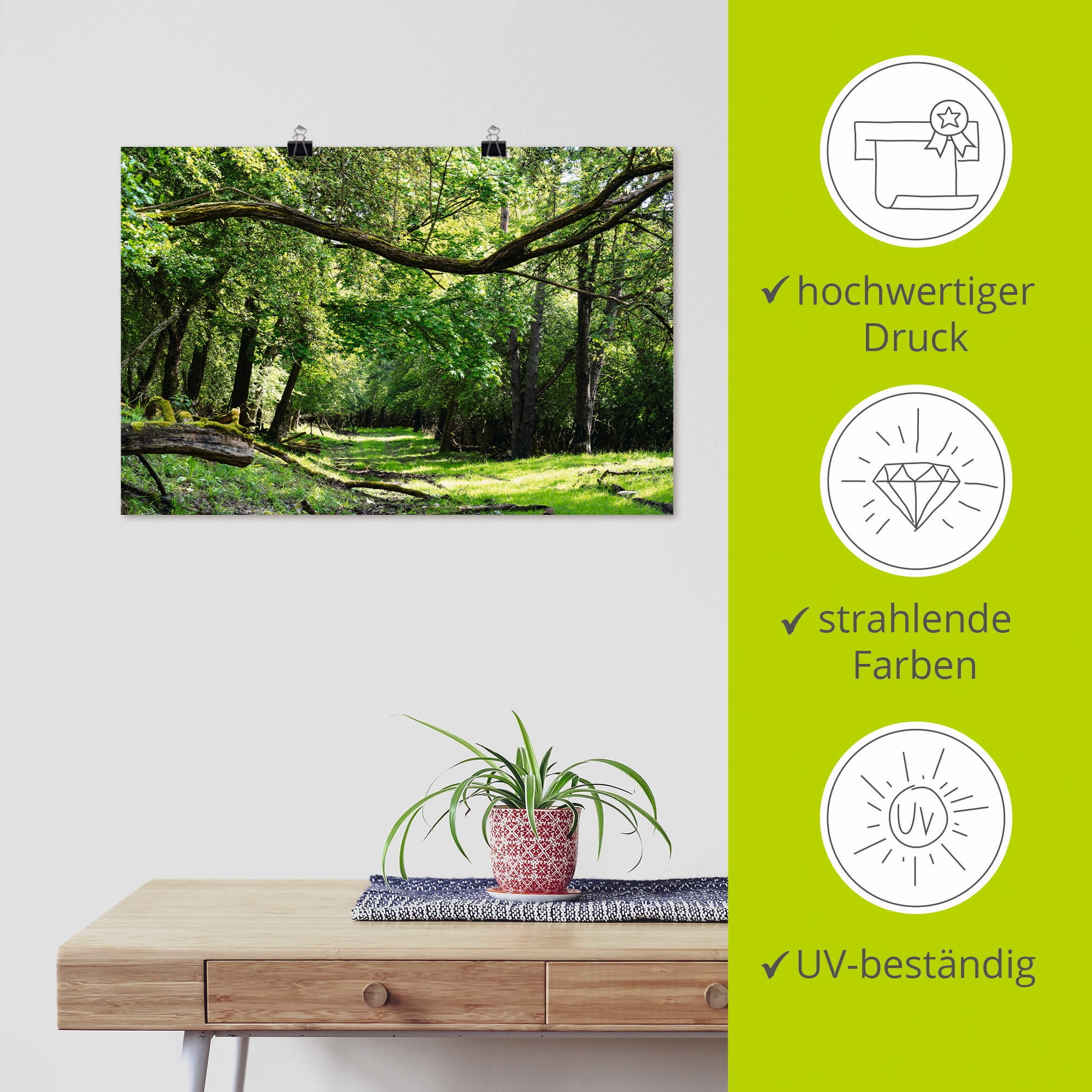Artland Wandbild »Auf grünem Weg durch den grünen Wald«, Wald, (1 St.), als Alubild, Outdoorbild, Leinwandbild, Poster in verschied. Größen