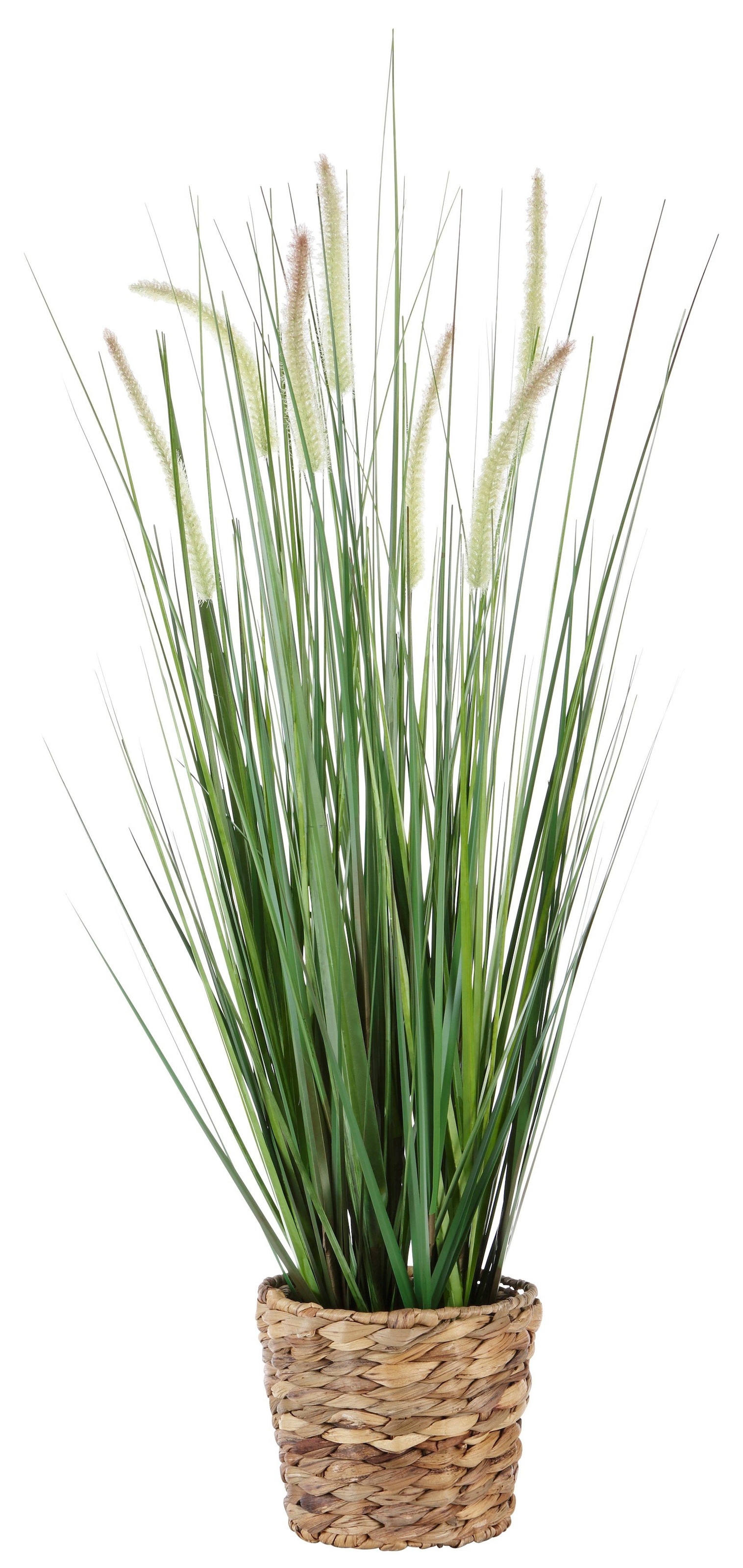 I.GE.A. Kunstpflanze »Gras«