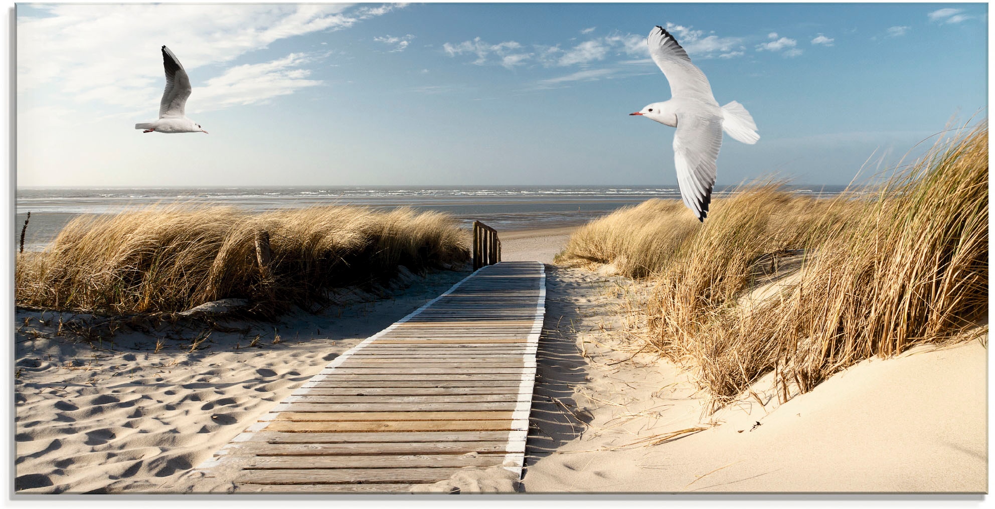 Artland Glasbild »Nordseestrand auf Langeoog mit Möwen«, Strand, (1 St.), i günstig online kaufen