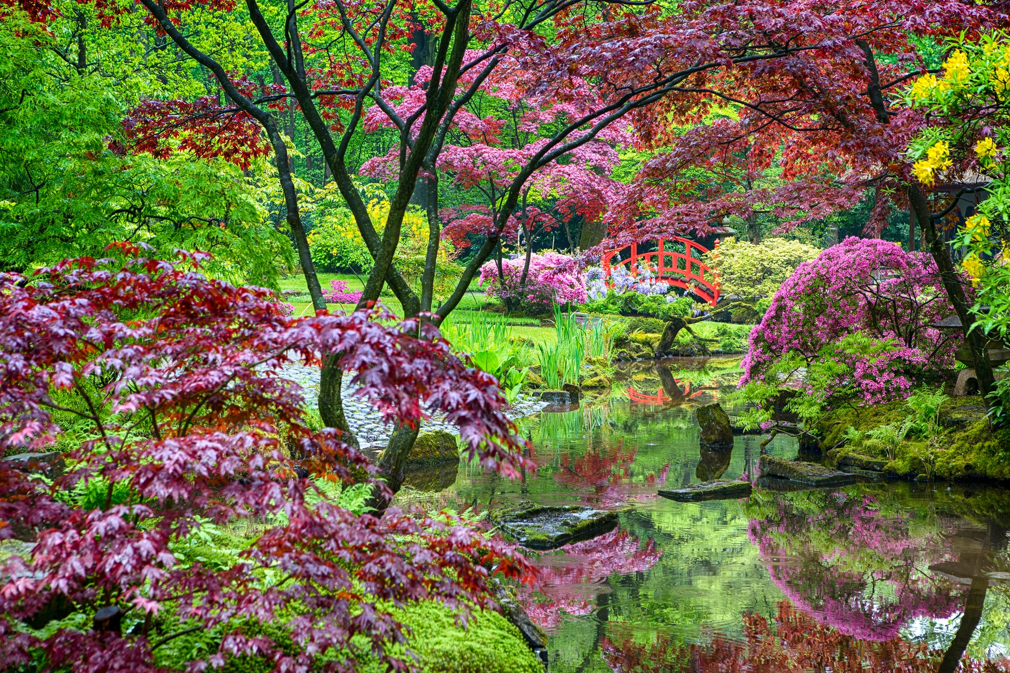 Papermoon Fototapete »GARTEN-BLUMEN BÄUME PFLANZEN PARK STEINE BLÜTEN WALD« günstig online kaufen