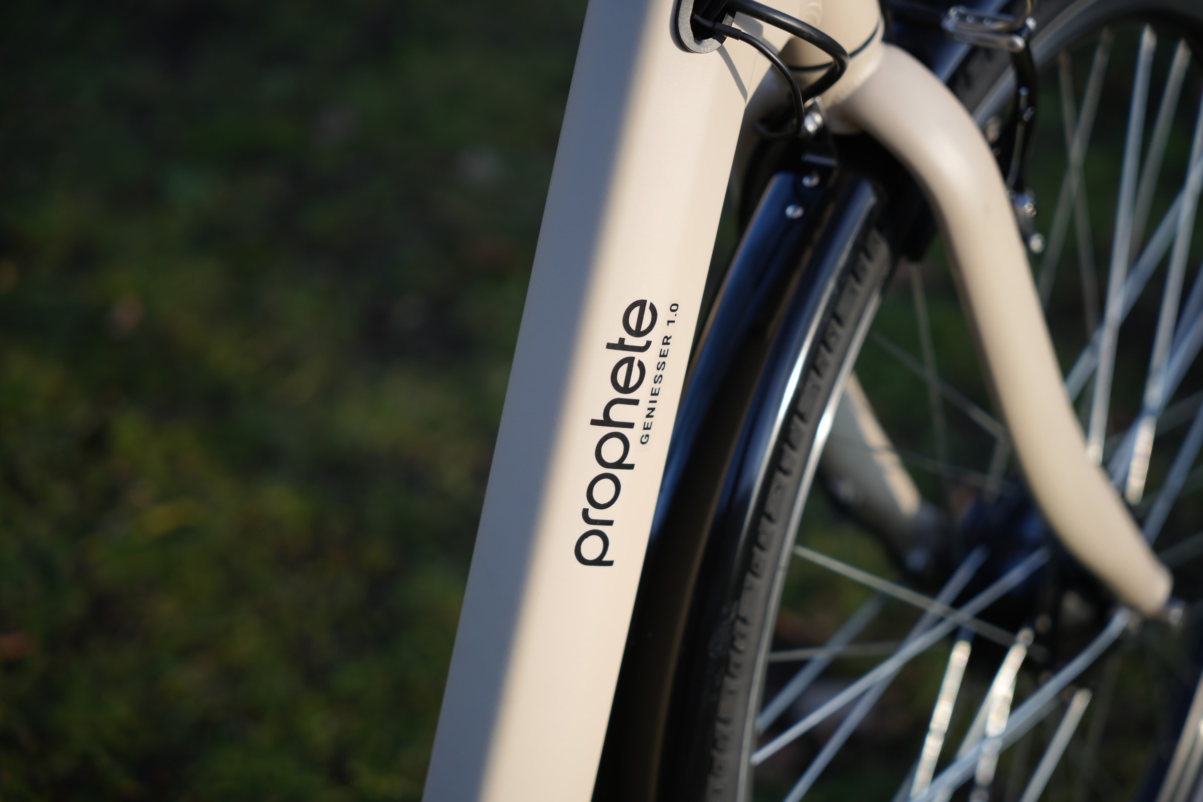 Prophete »Prophete Geniesser 1.0« 3 Gang Shimano Nexus Schaltwerk Nabenschaltung Frontmotor 250 W