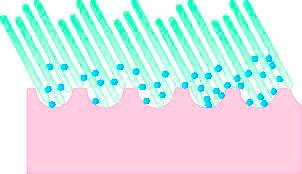 Janastyle Waschgurt »Micro-Peeling-Rückenreiniger für strahlend frische Haut«, (1 St.), regt die Durchblutung an, glättet und reinigt porentief
