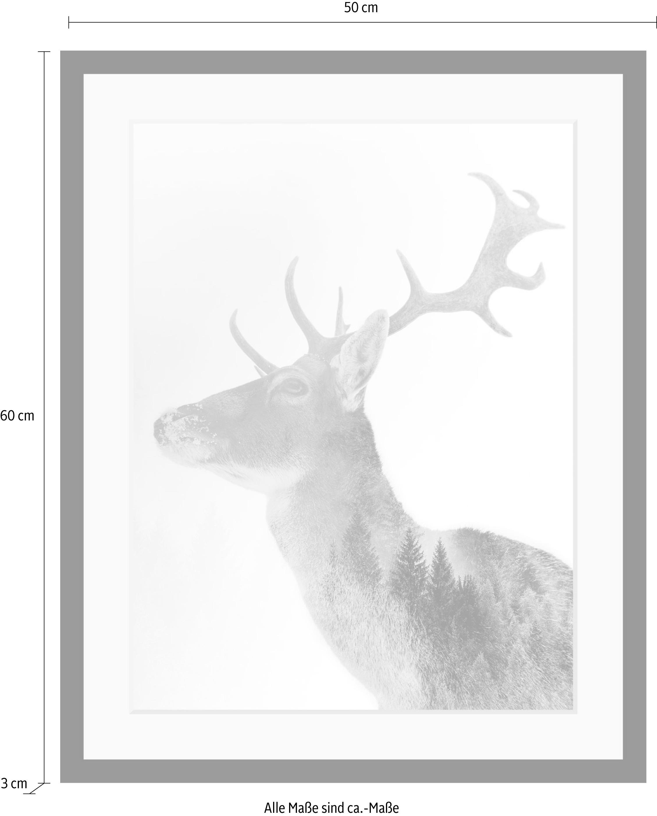 queence Bild »Hirsch«, Hirsch-Tiere-Wildtiere-Hirschbilder-Wald-Waldbilder-Schwarz-Weiß, HD Premium Poster-Druck inkl. Holzrahmen