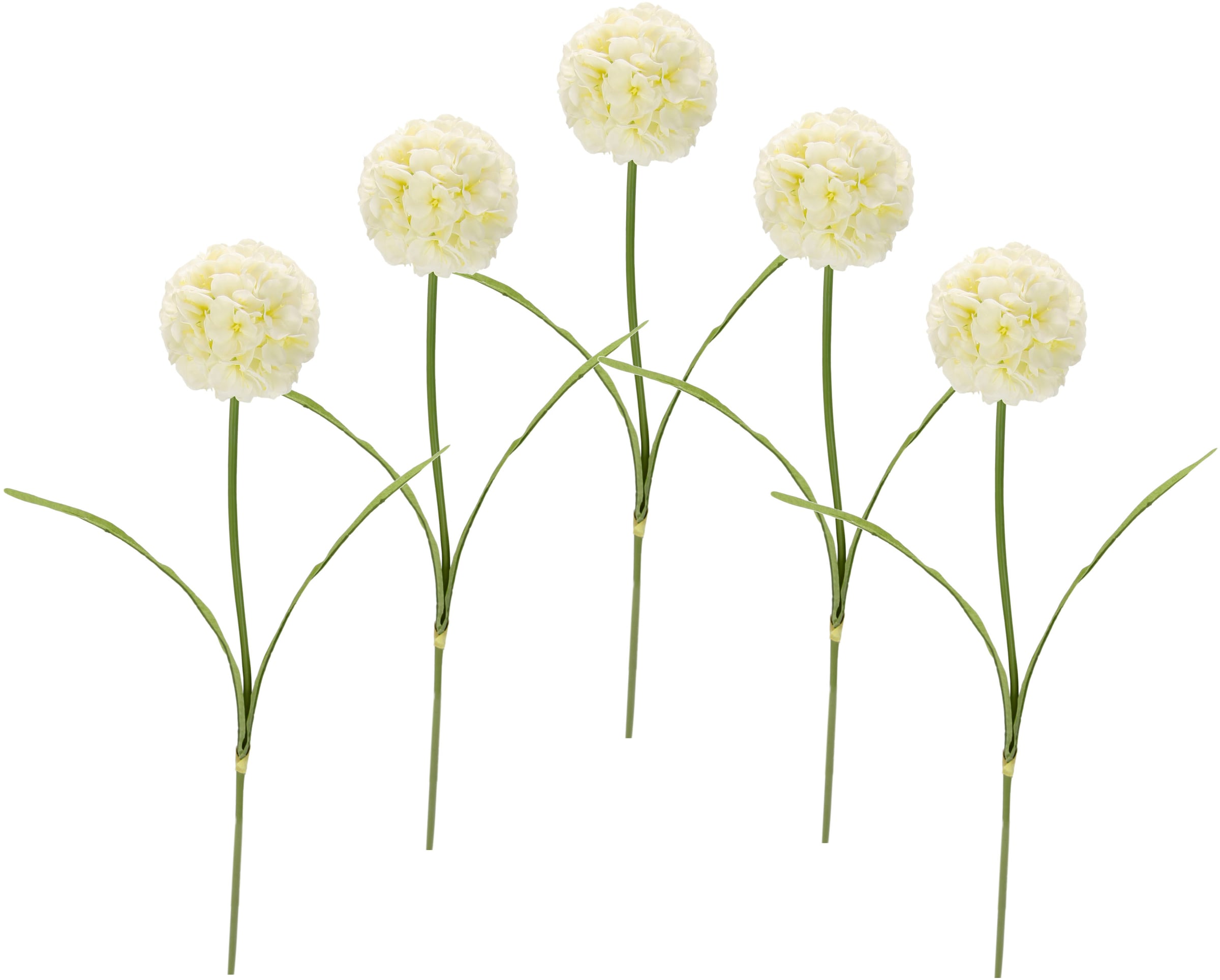 I.GE.A. Kunstblume »Allium«, 5er Set