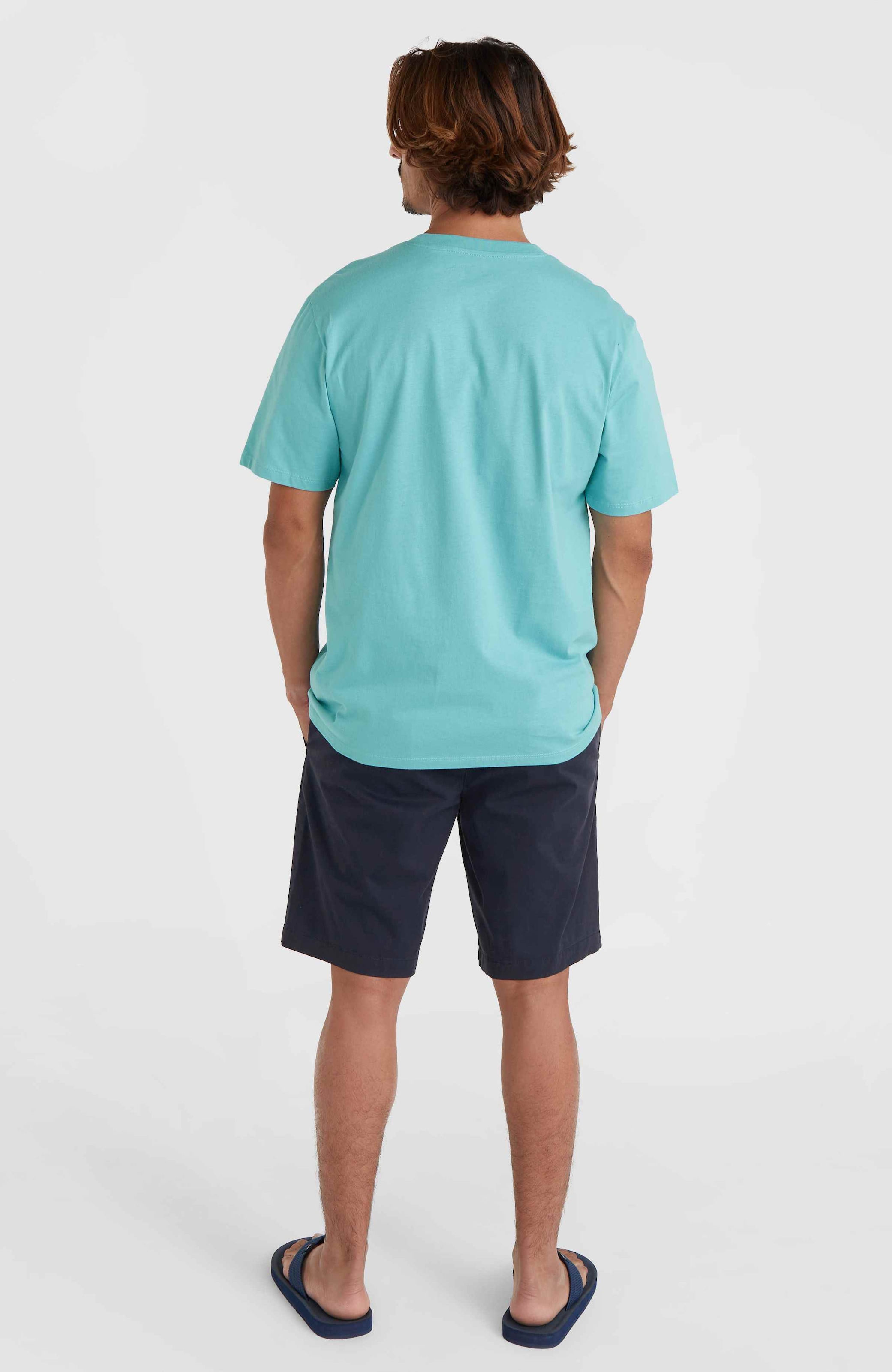 O'Neill Chinoshorts »ESSENTIALS CHINO SHORTS«