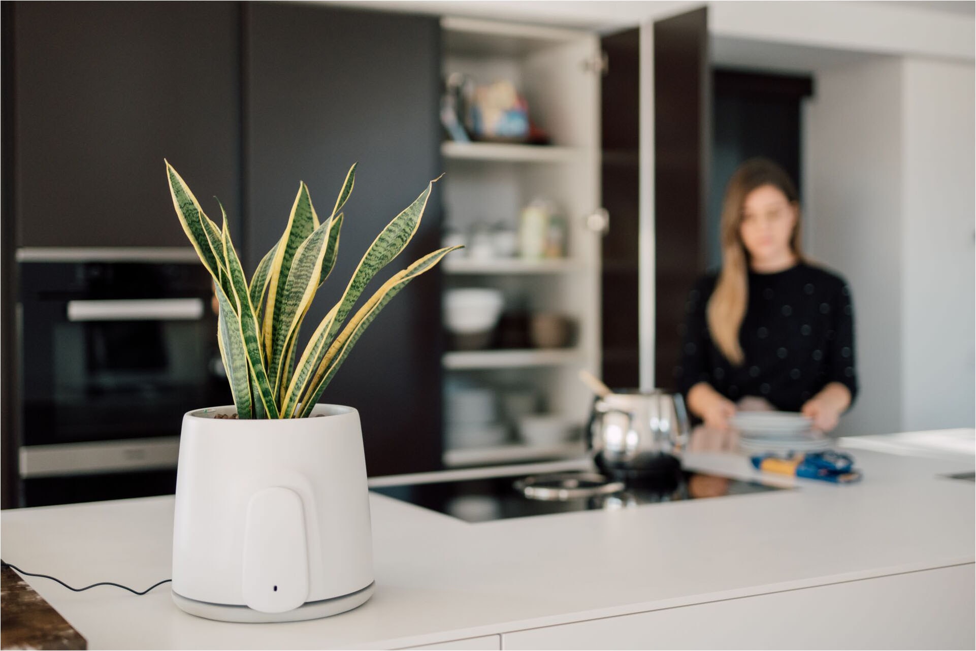 Vitesy Luftreiniger »Natede Smart – Smarte Luftreinigung und stilvoller Blumentopf«, für 20 m² Räume, Waschbarer Filter, App-Steuerung, Selbstbewässerung Blumentopf