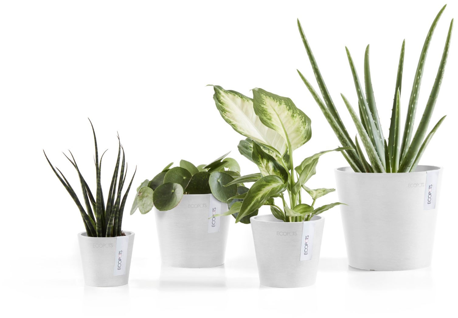 ECOPOTS Blumentopf »Amsterdam Mini 17 Weiß« für den Innenbereich